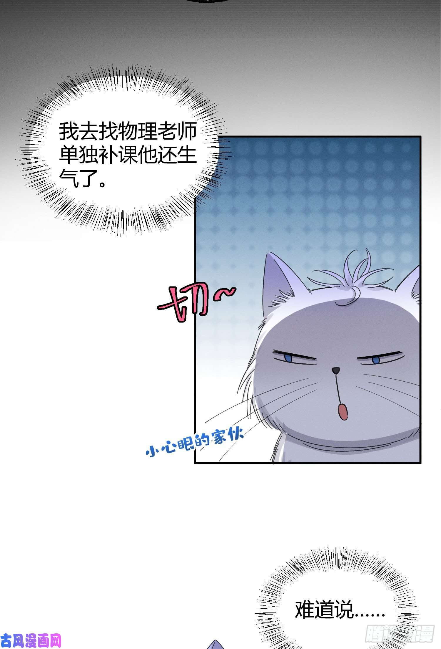 今天也要努力当只猫第8话 不可以碰我！