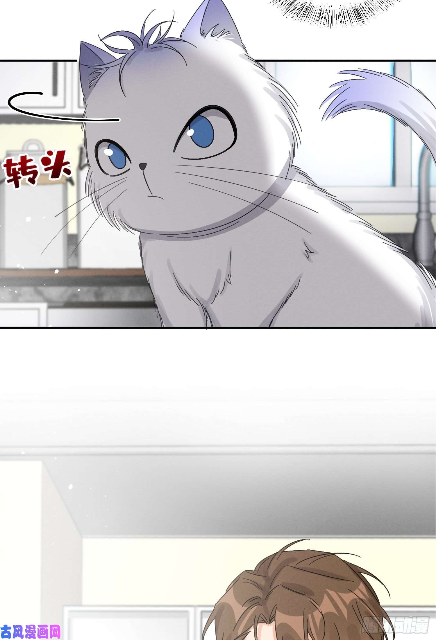 今天也要努力当只猫第8话 不可以碰我！