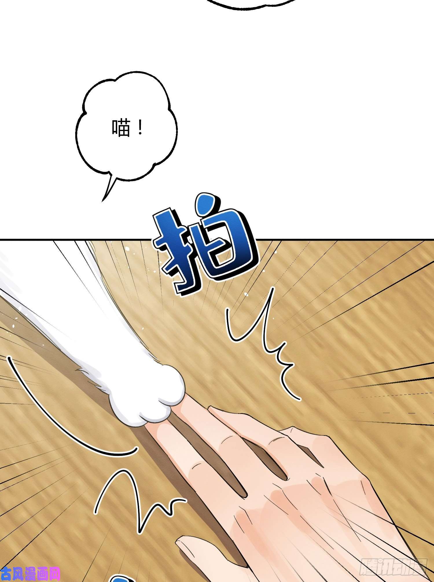 今天也要努力当只猫第8话 不可以碰我！