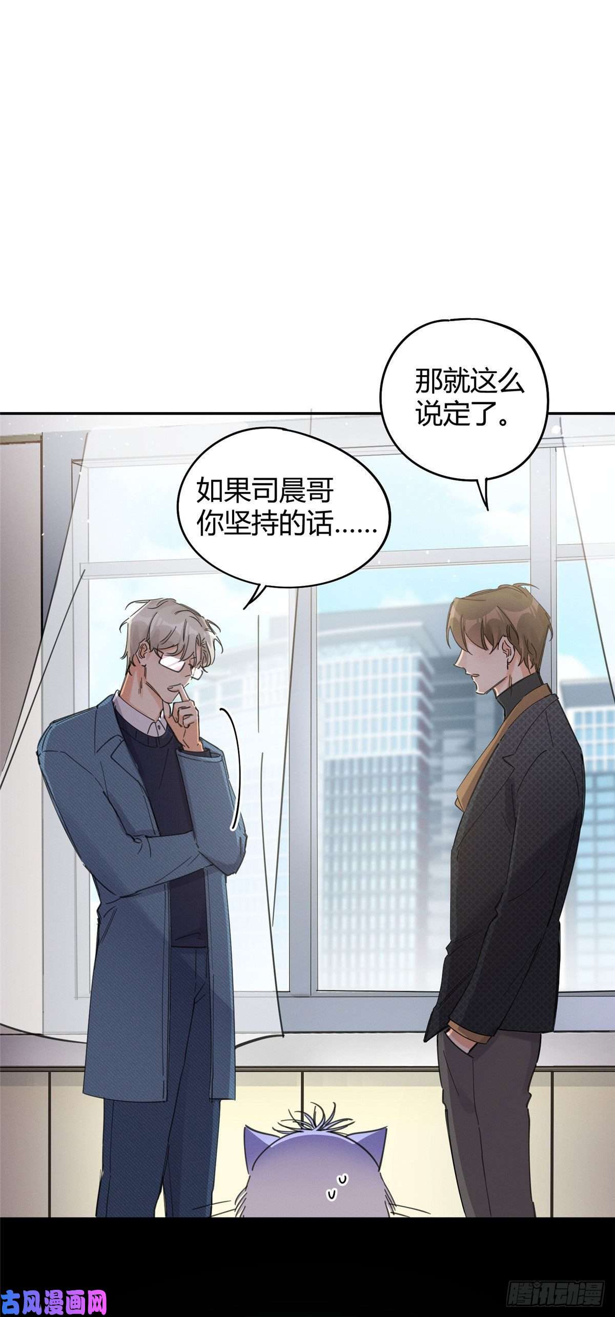 今天也要努力当只猫第9话 我是裴臻