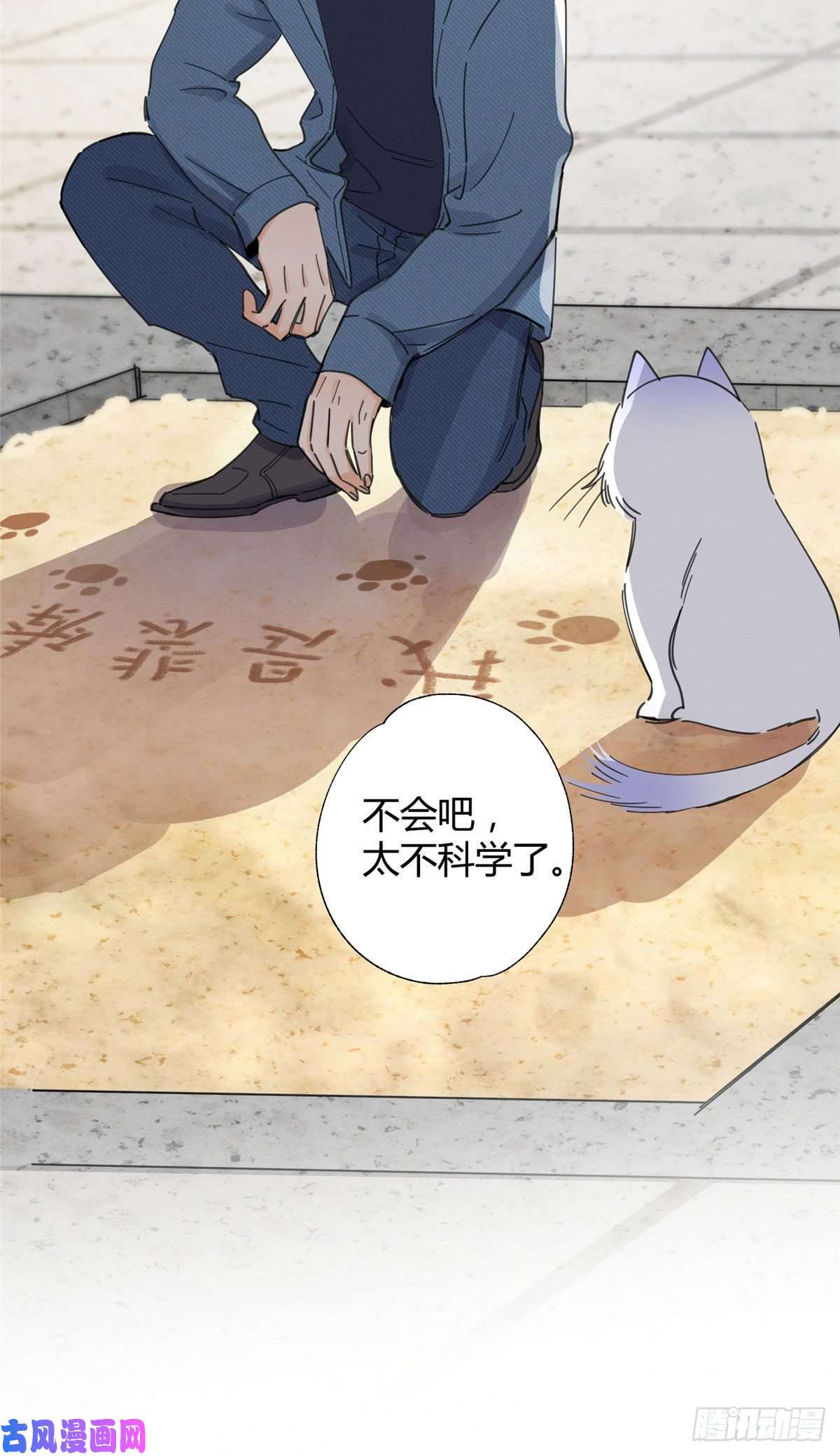 今天也要努力当只猫第9话 我是裴臻