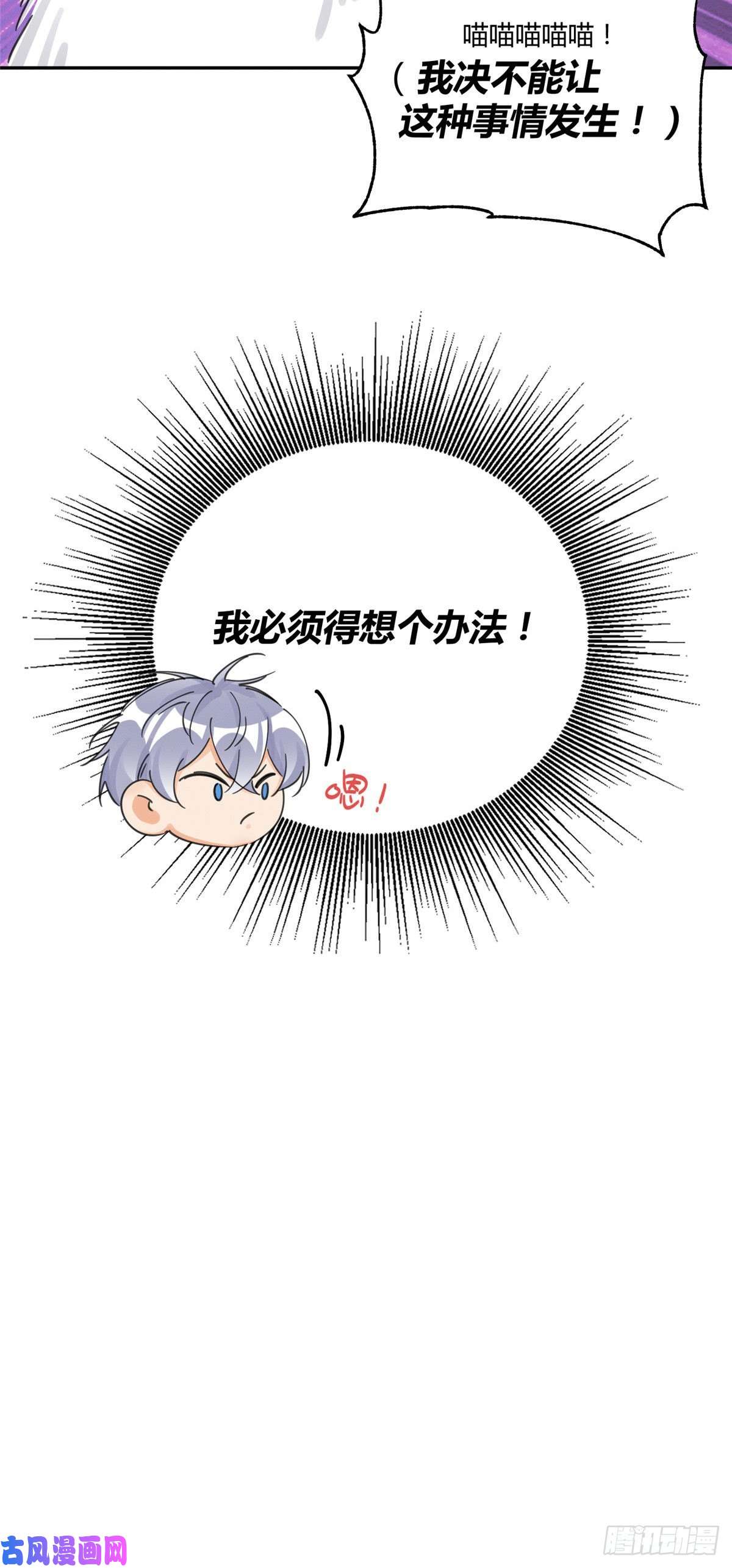 今天也要努力当只猫第9话 我是裴臻