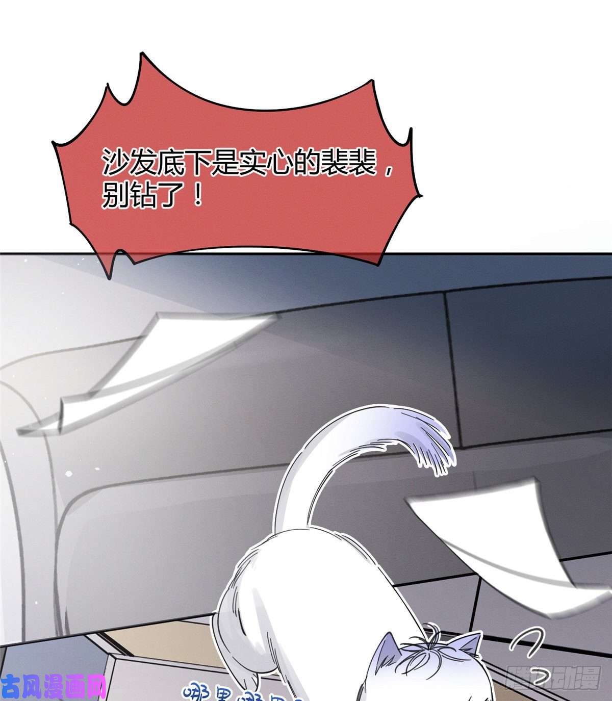 今天也要努力当只猫第10话 傅司晨来了