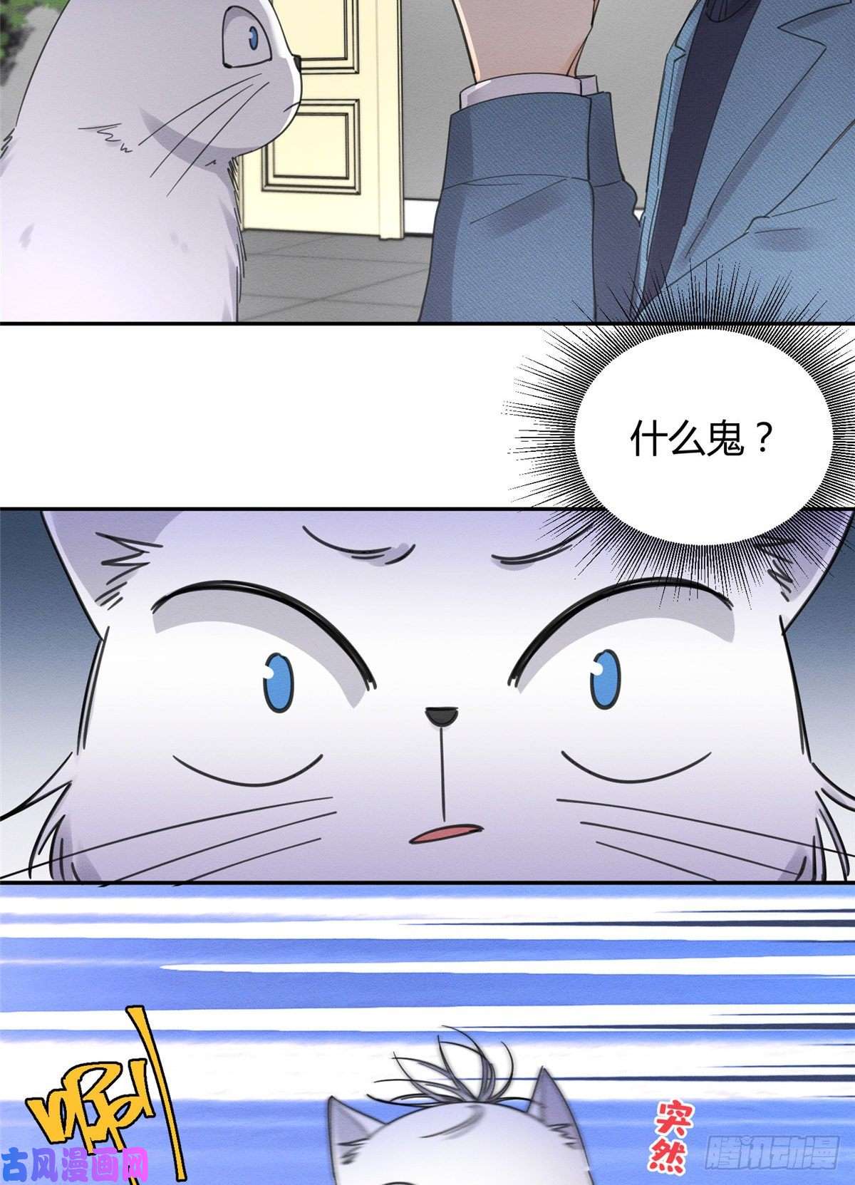 今天也要努力当只猫第10话 傅司晨来了