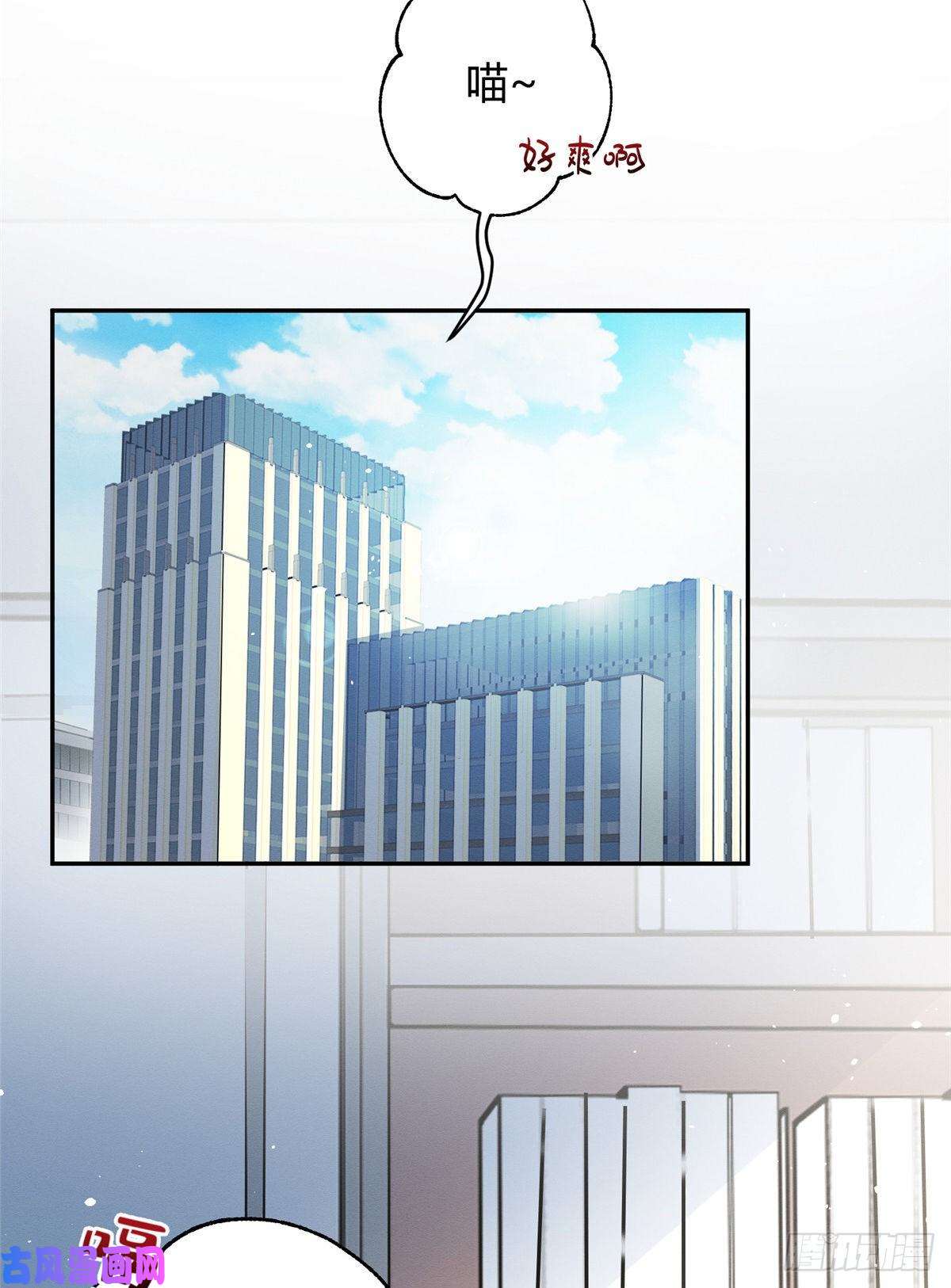 今天也要努力当只猫第10话 傅司晨来了