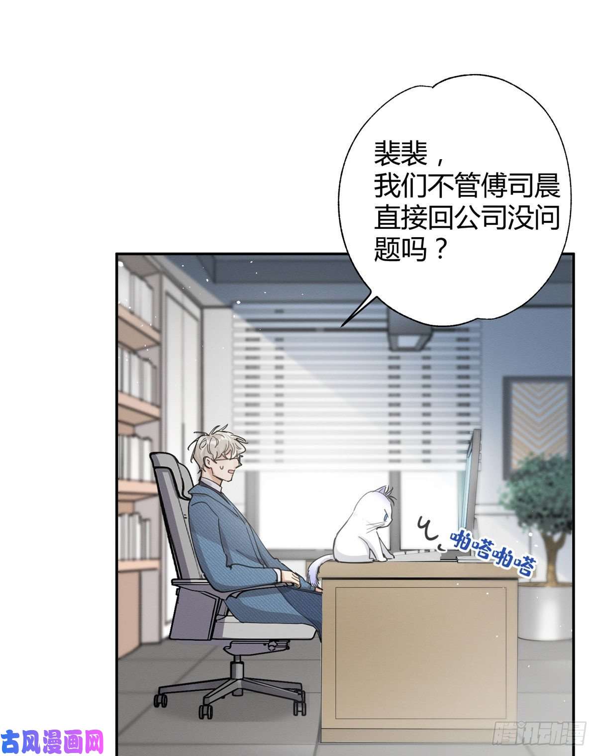 今天也要努力当只猫第10话 傅司晨来了