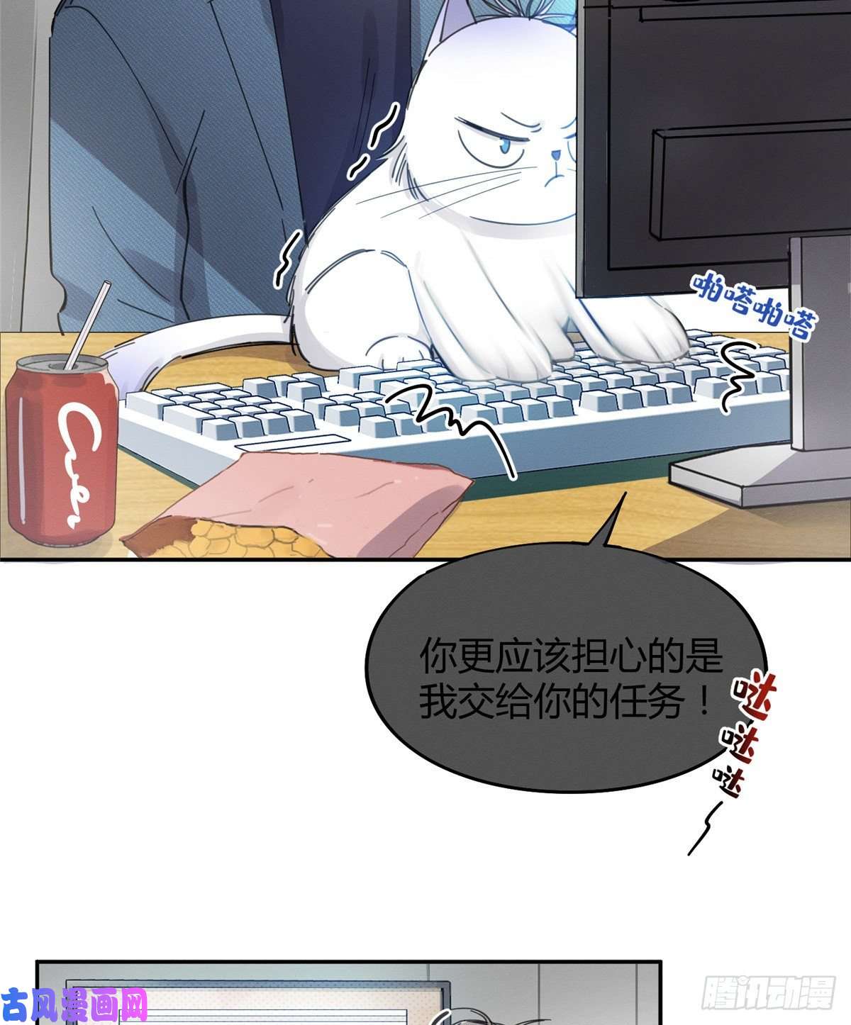 今天也要努力当只猫第10话 傅司晨来了