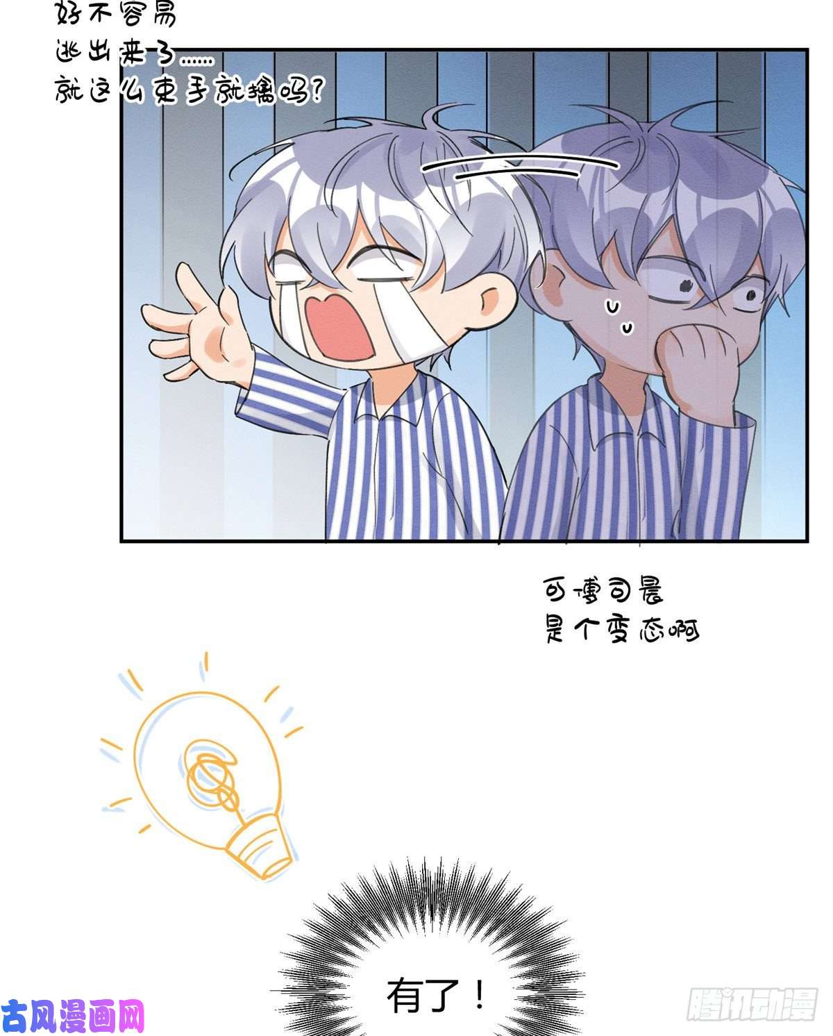 今天也要努力当只猫第11话 不要亲！