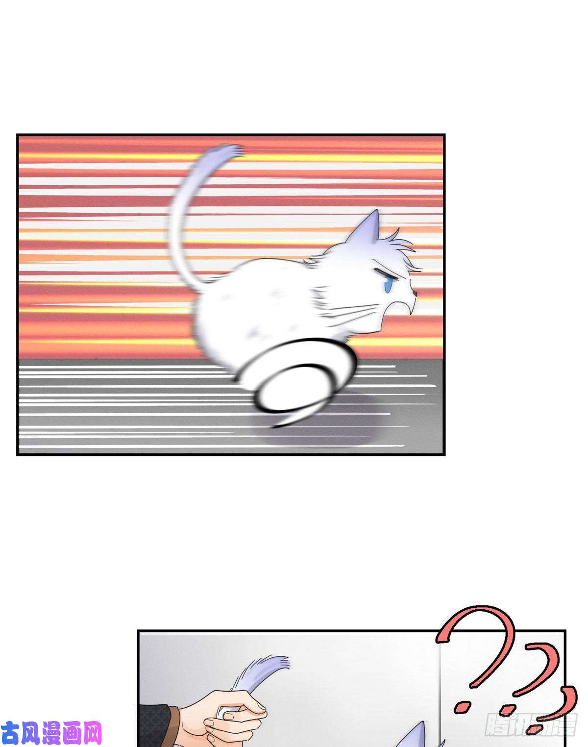 今天也要努力当只猫第11话 不要亲！