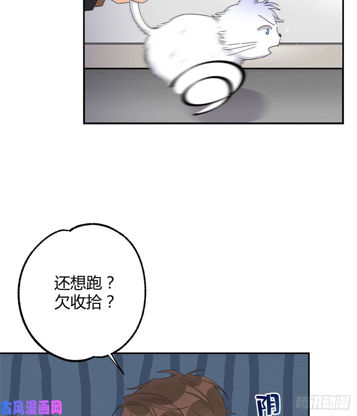 今天也要努力当只猫第11话 不要亲！