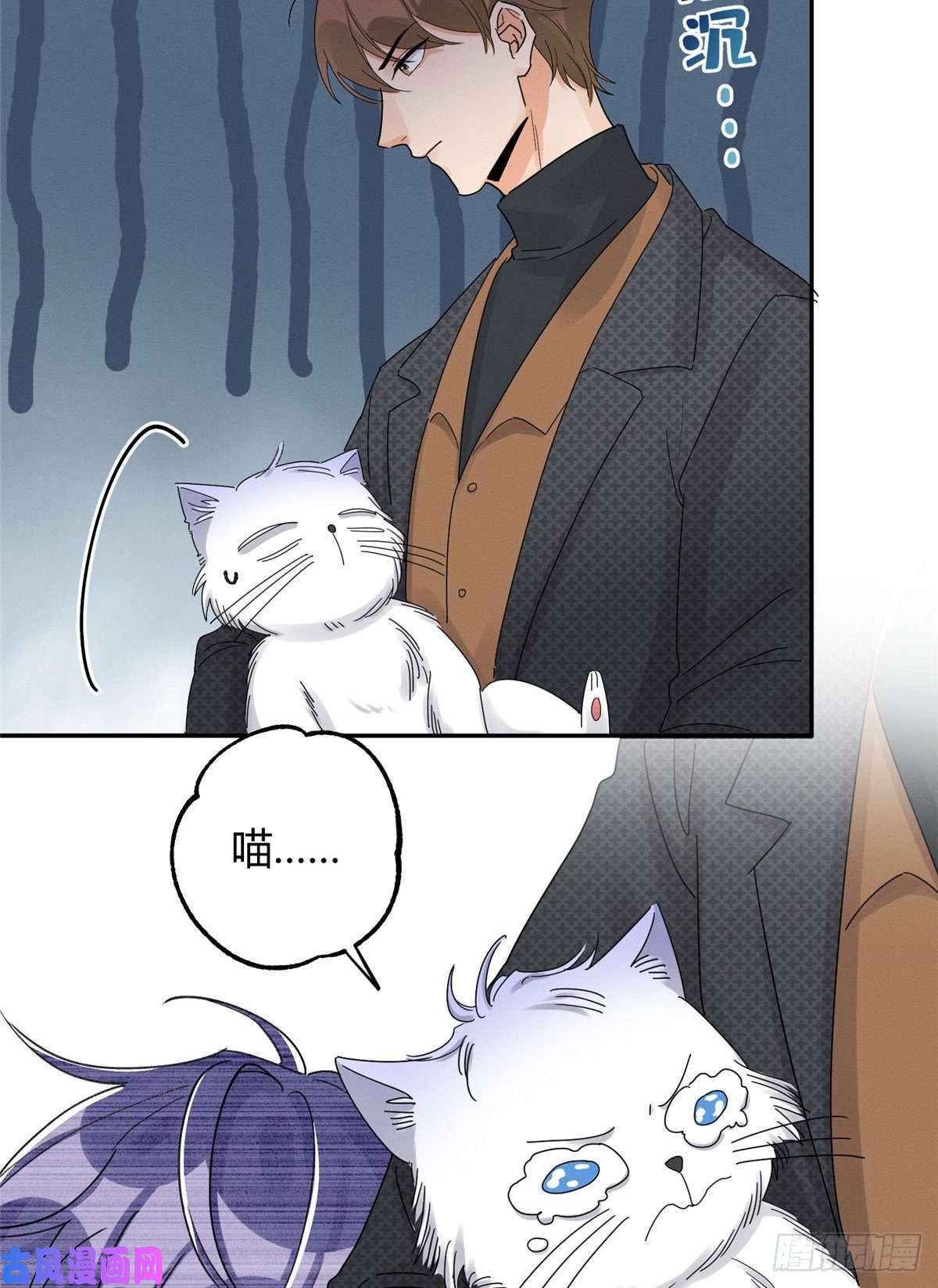 今天也要努力当只猫第11话 不要亲！