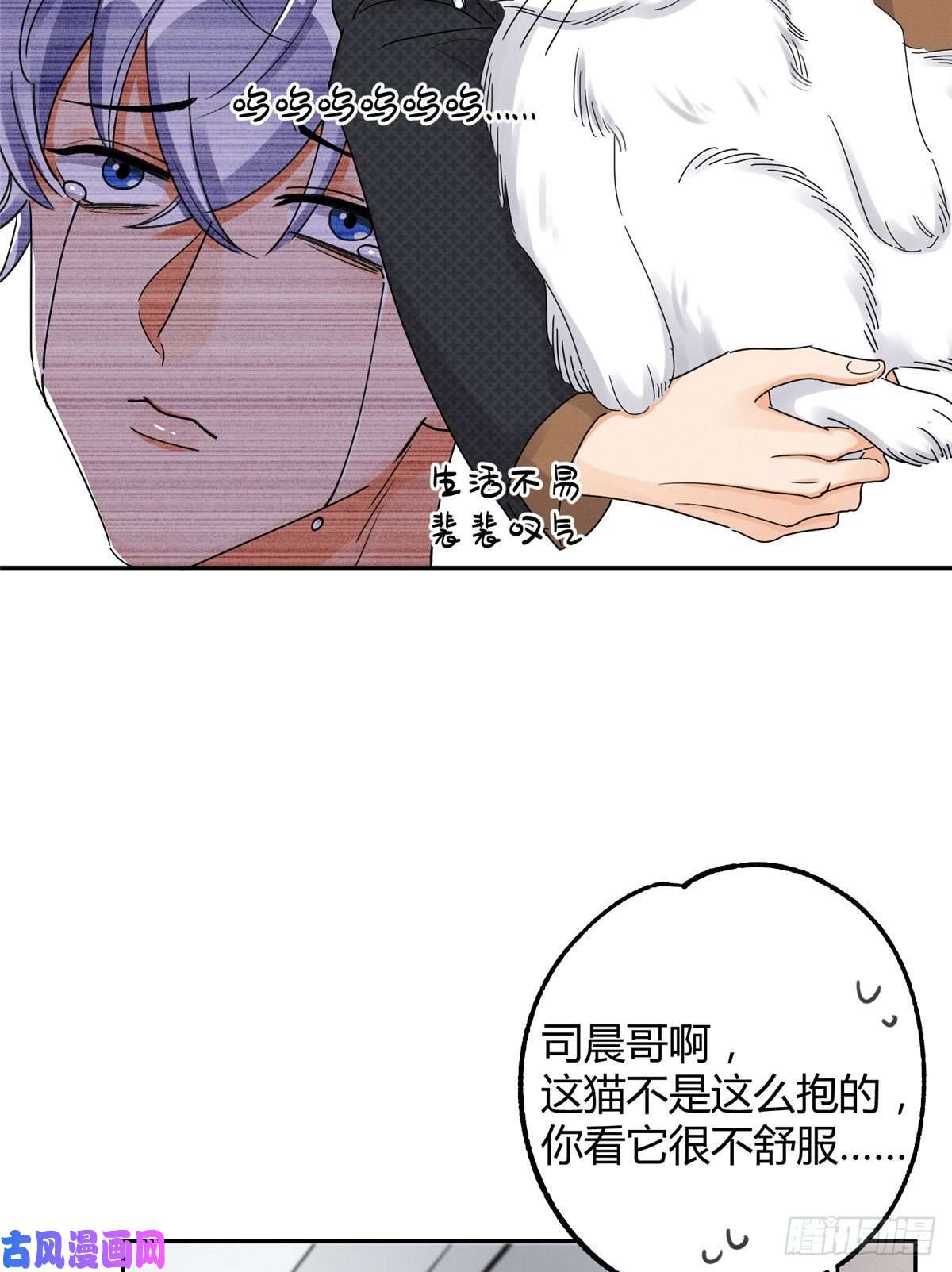 今天也要努力当只猫第11话 不要亲！