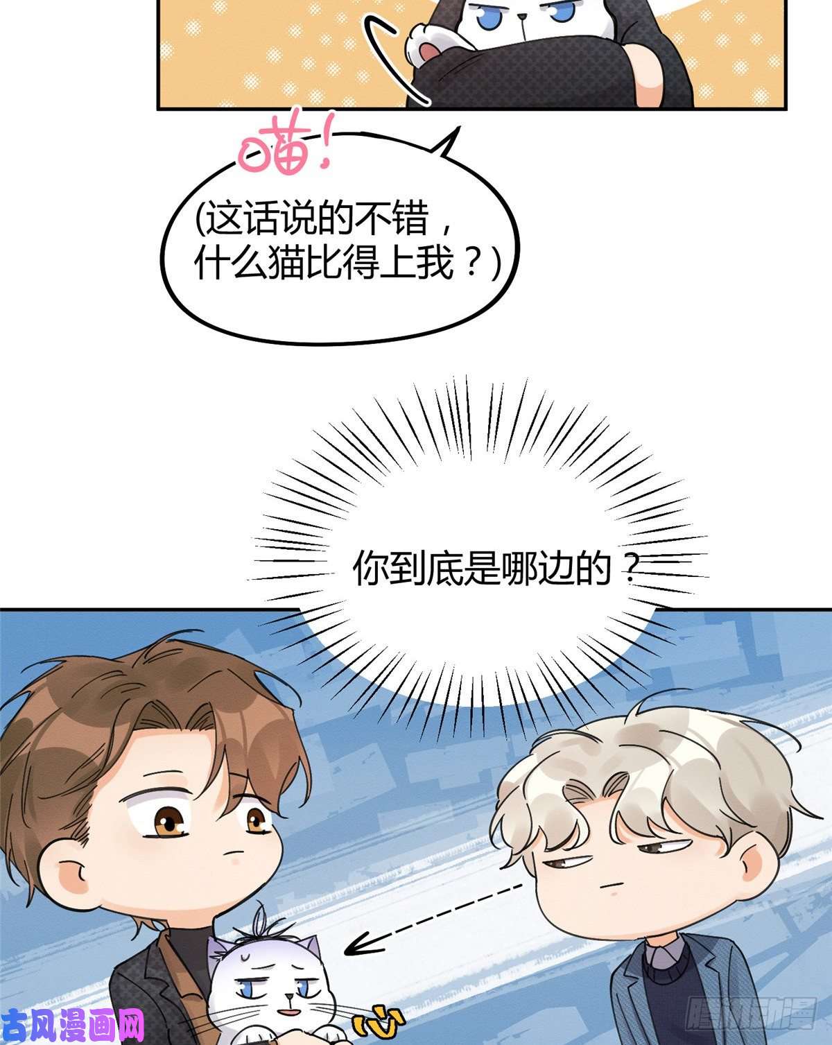 今天也要努力当只猫第11话 不要亲！