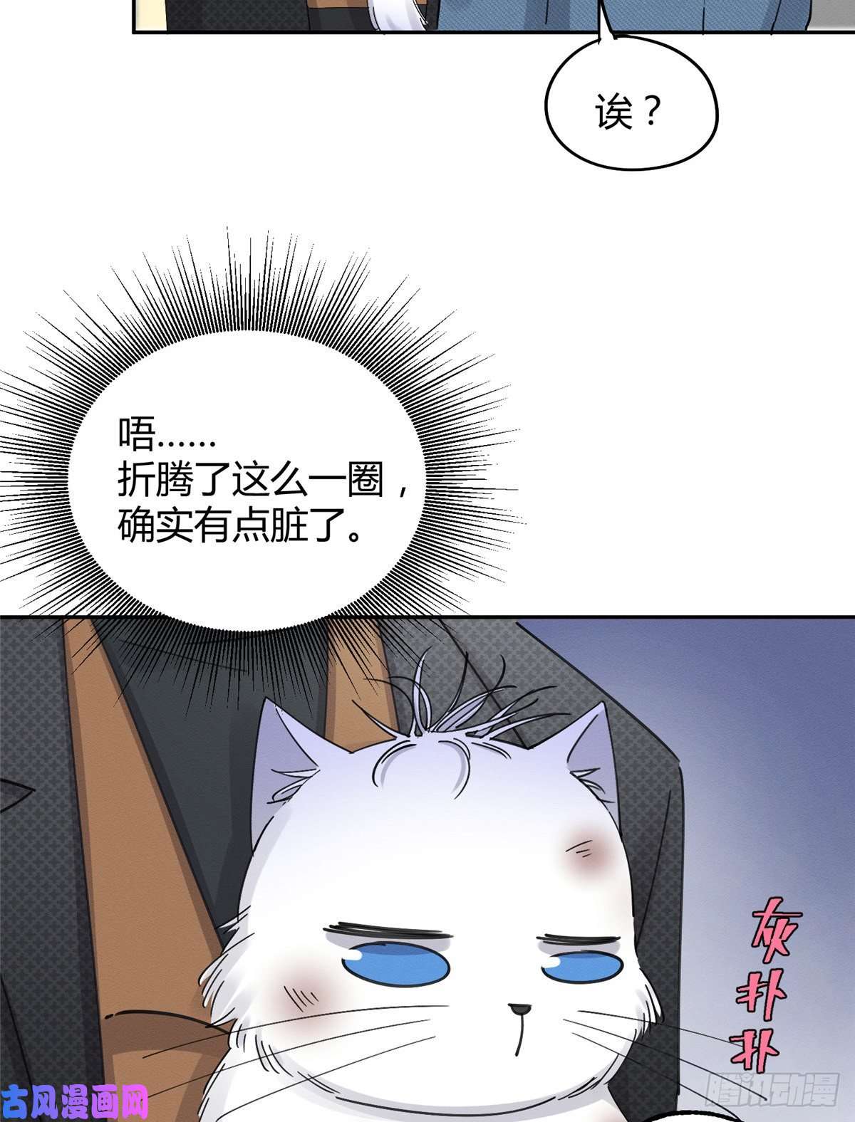今天也要努力当只猫第11话 不要亲！