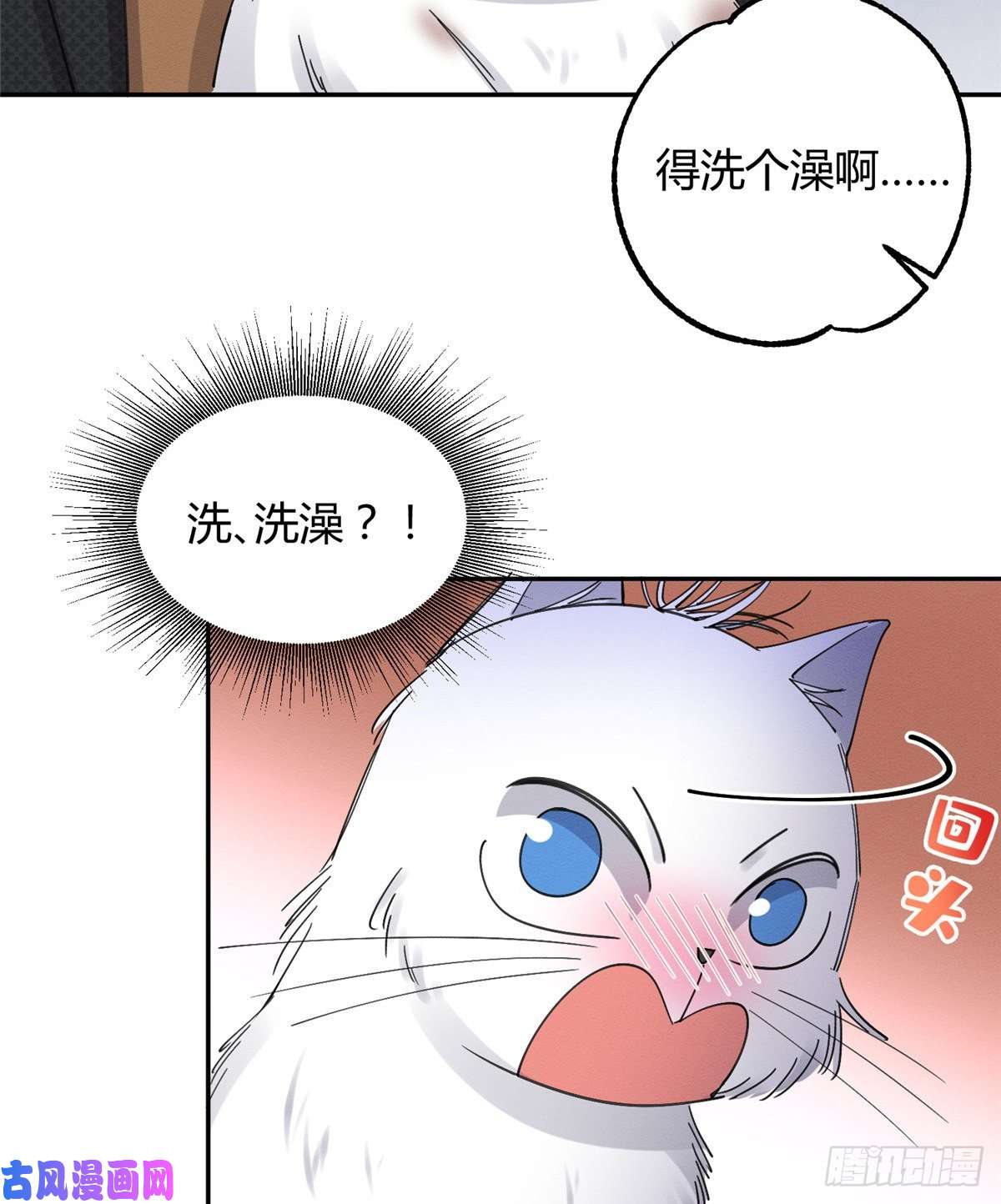 今天也要努力当只猫第11话 不要亲！