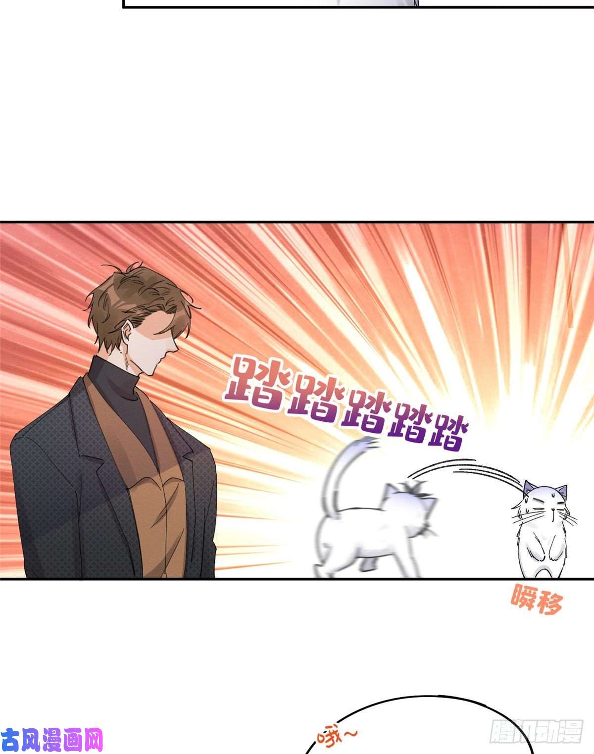 今天也要努力当只猫第11话 不要亲！