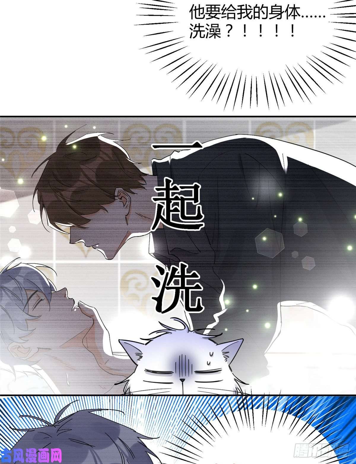 今天也要努力当只猫第11话 不要亲！