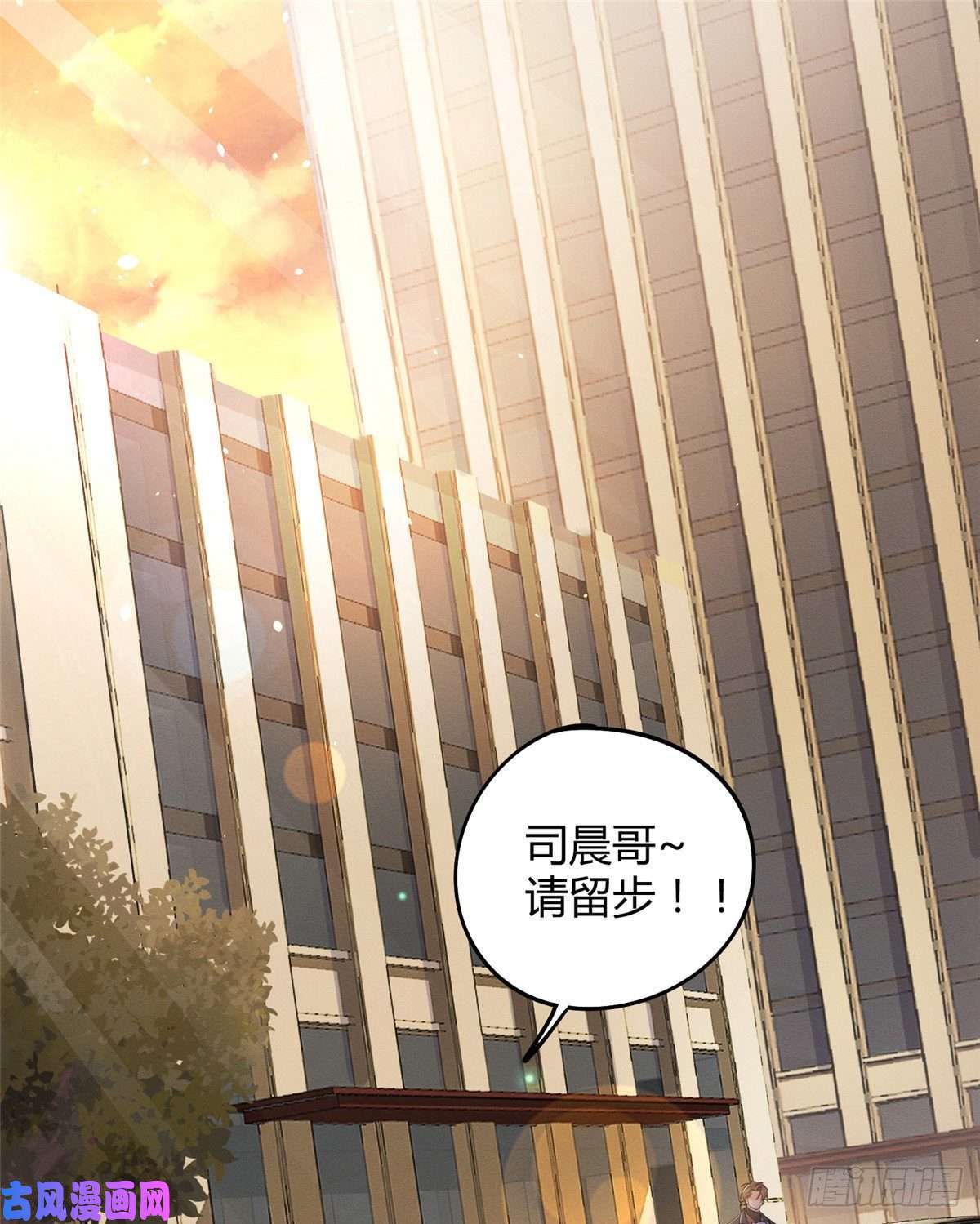 今天也要努力当只猫第12话 洗澡？！