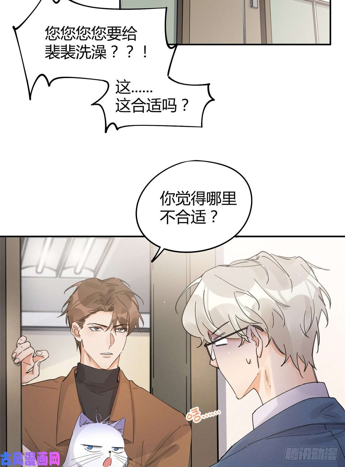 今天也要努力当只猫第12话 洗澡？！