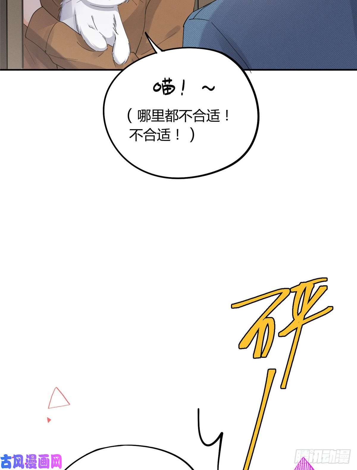 今天也要努力当只猫第12话 洗澡？！