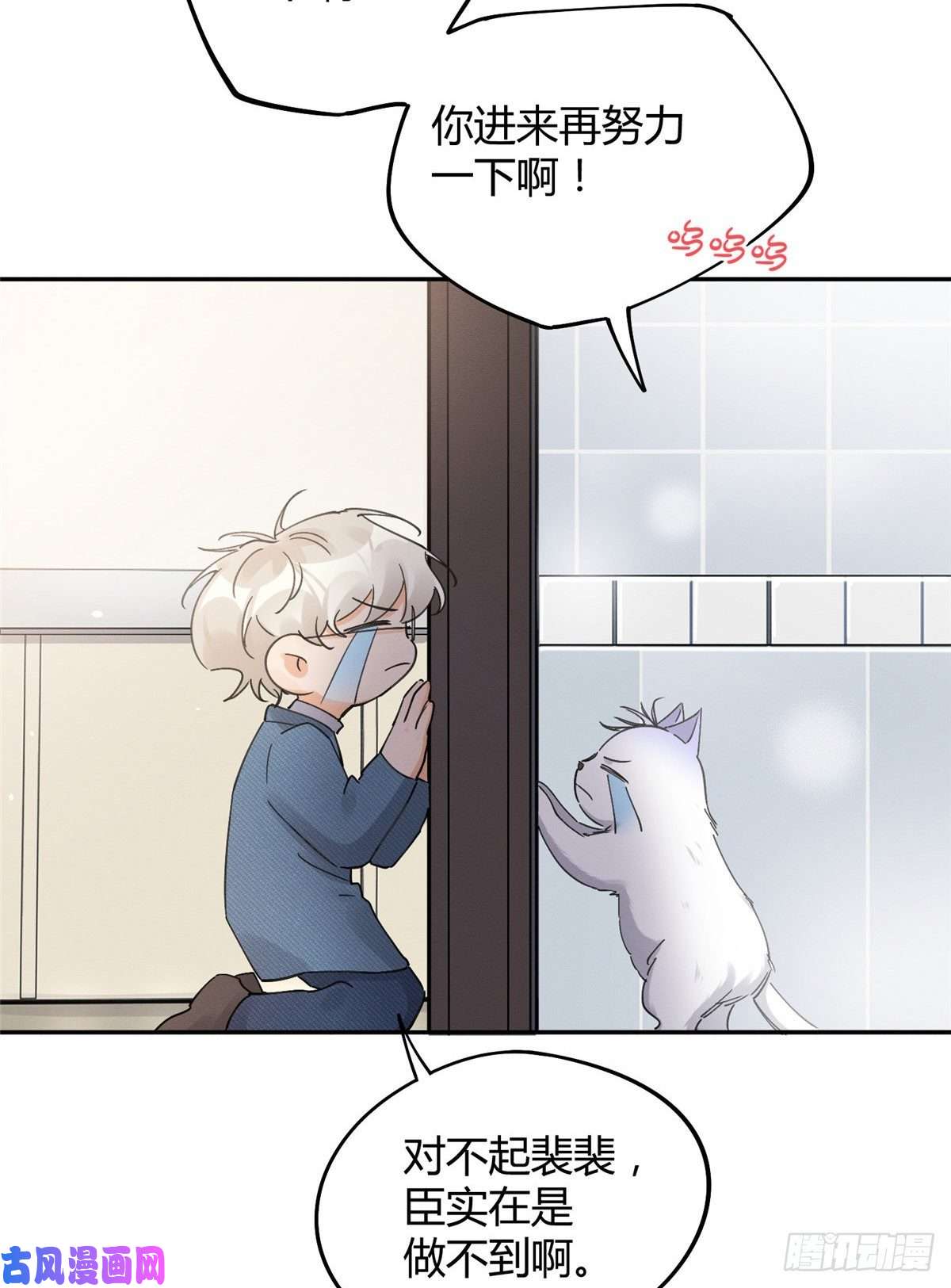 今天也要努力当只猫第12话 洗澡？！