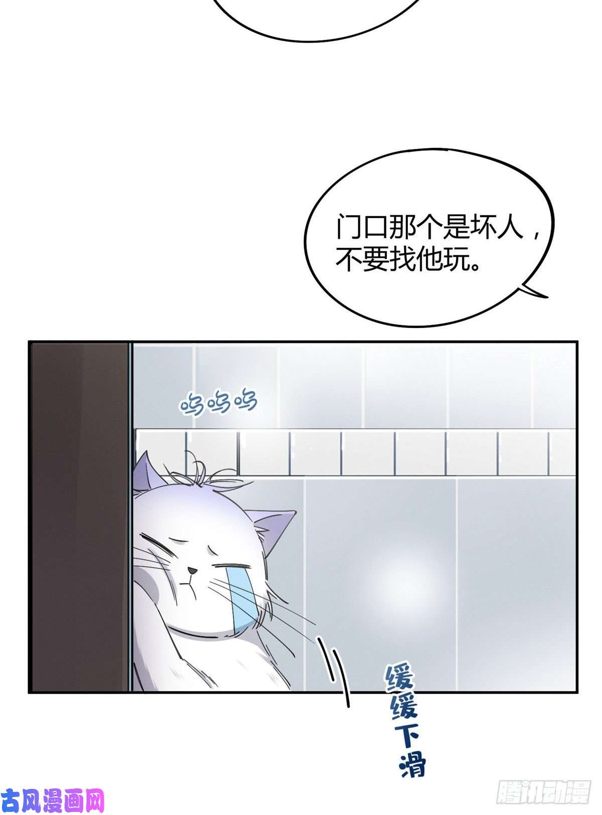 今天也要努力当只猫第12话 洗澡？！