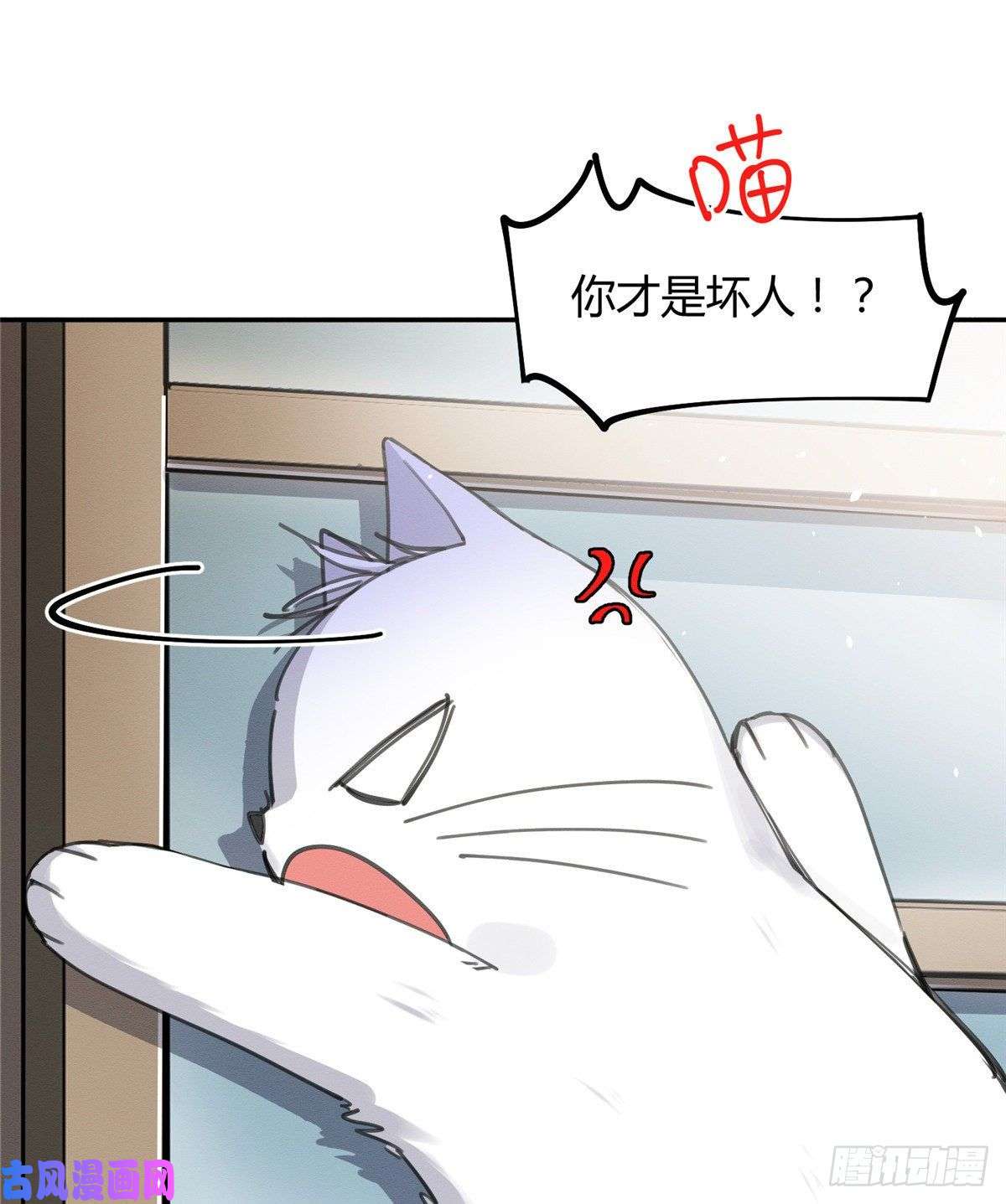 今天也要努力当只猫第12话 洗澡？！