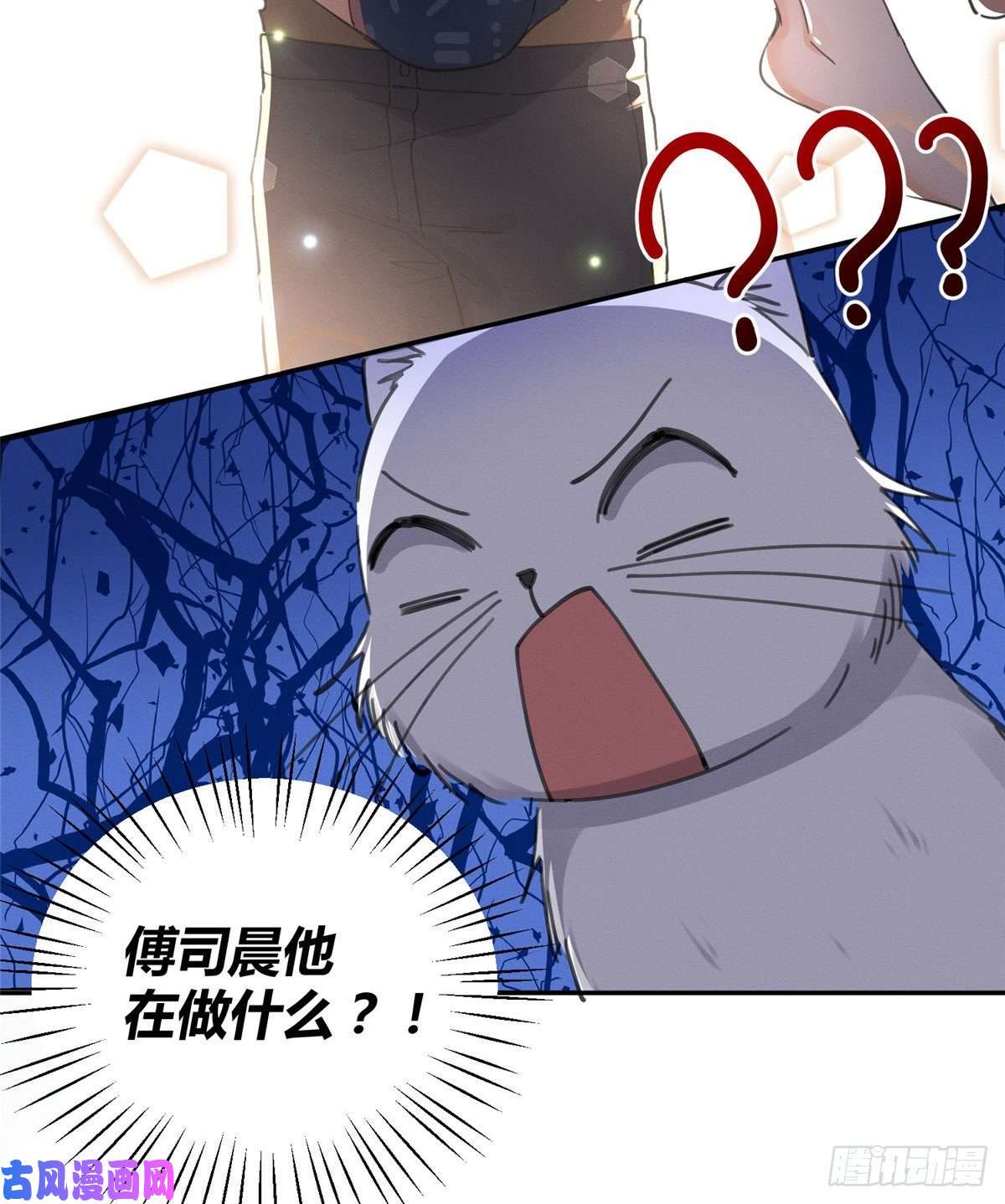 今天也要努力当只猫第12话 洗澡？！