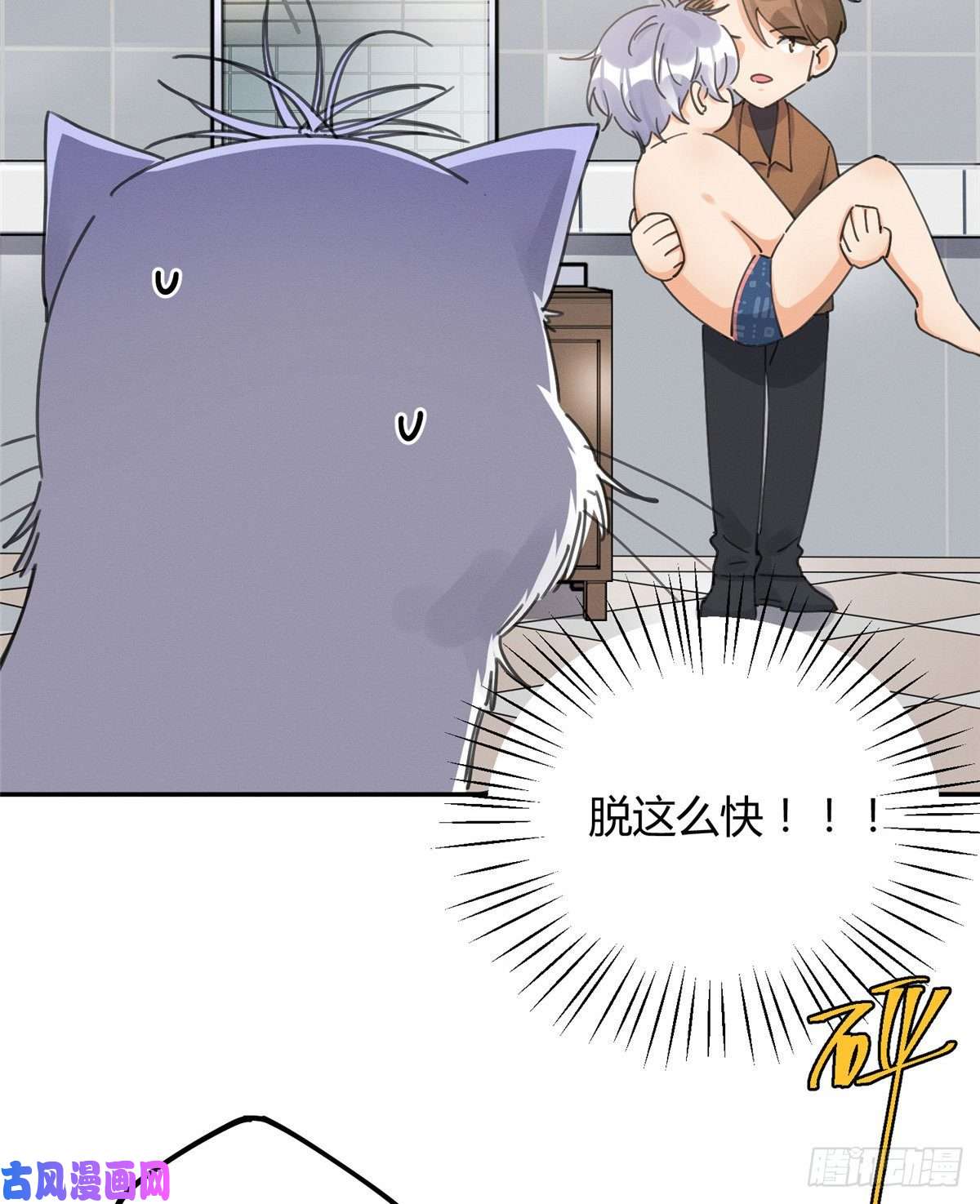 今天也要努力当只猫第12话 洗澡？！