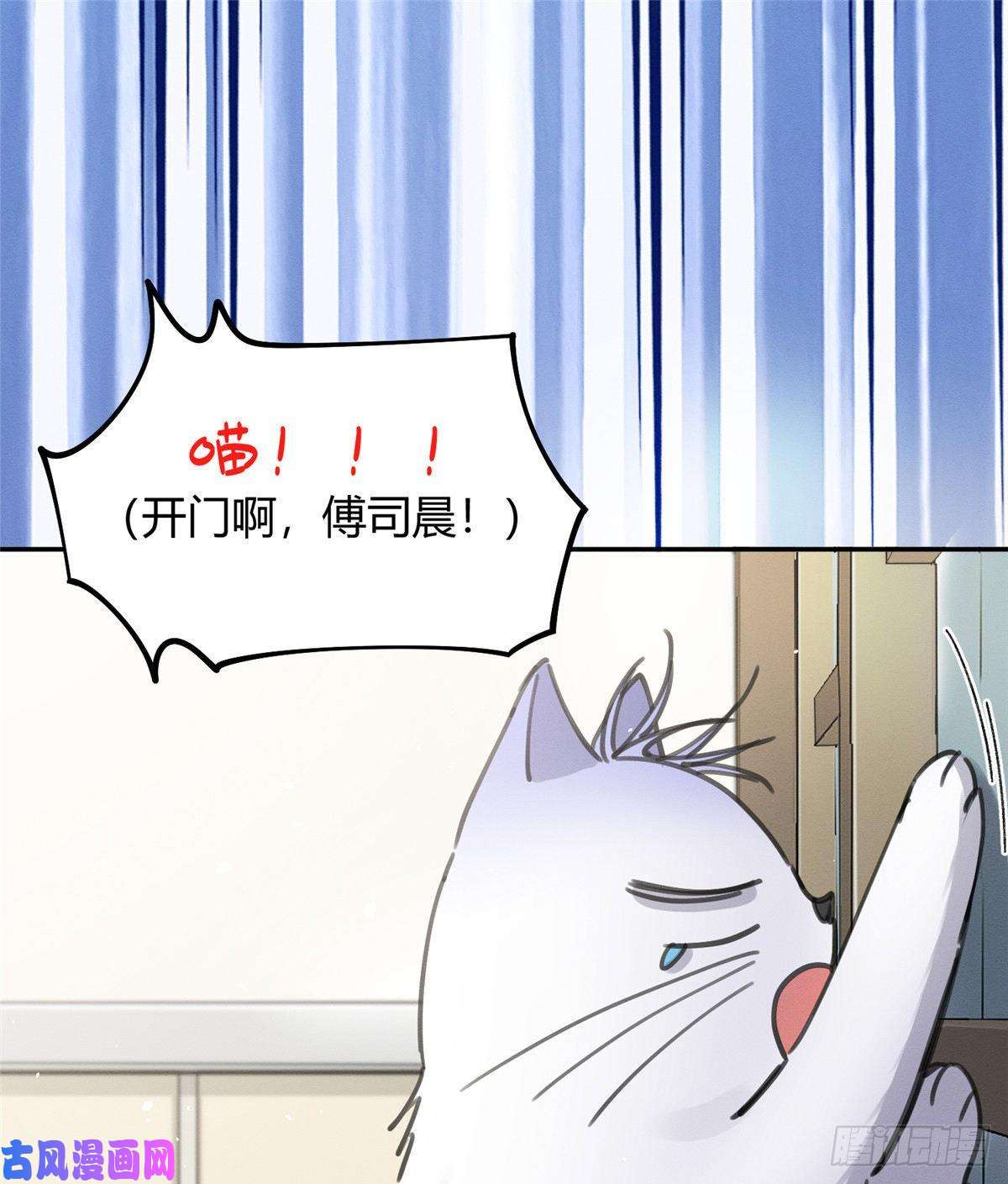 今天也要努力当只猫第12话 洗澡？！
