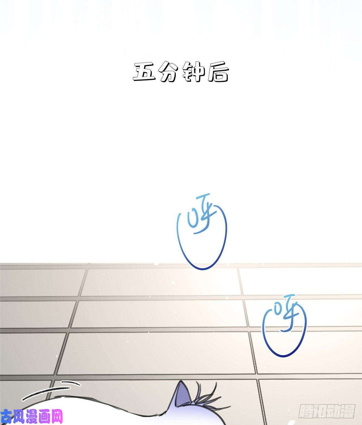 今天也要努力当只猫第12话 洗澡？！