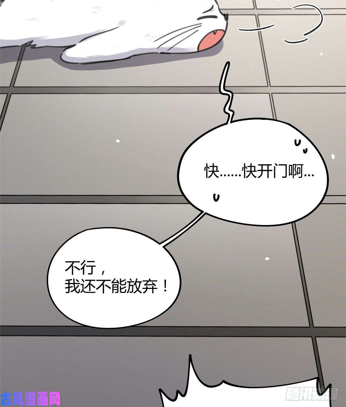 今天也要努力当只猫第12话 洗澡？！