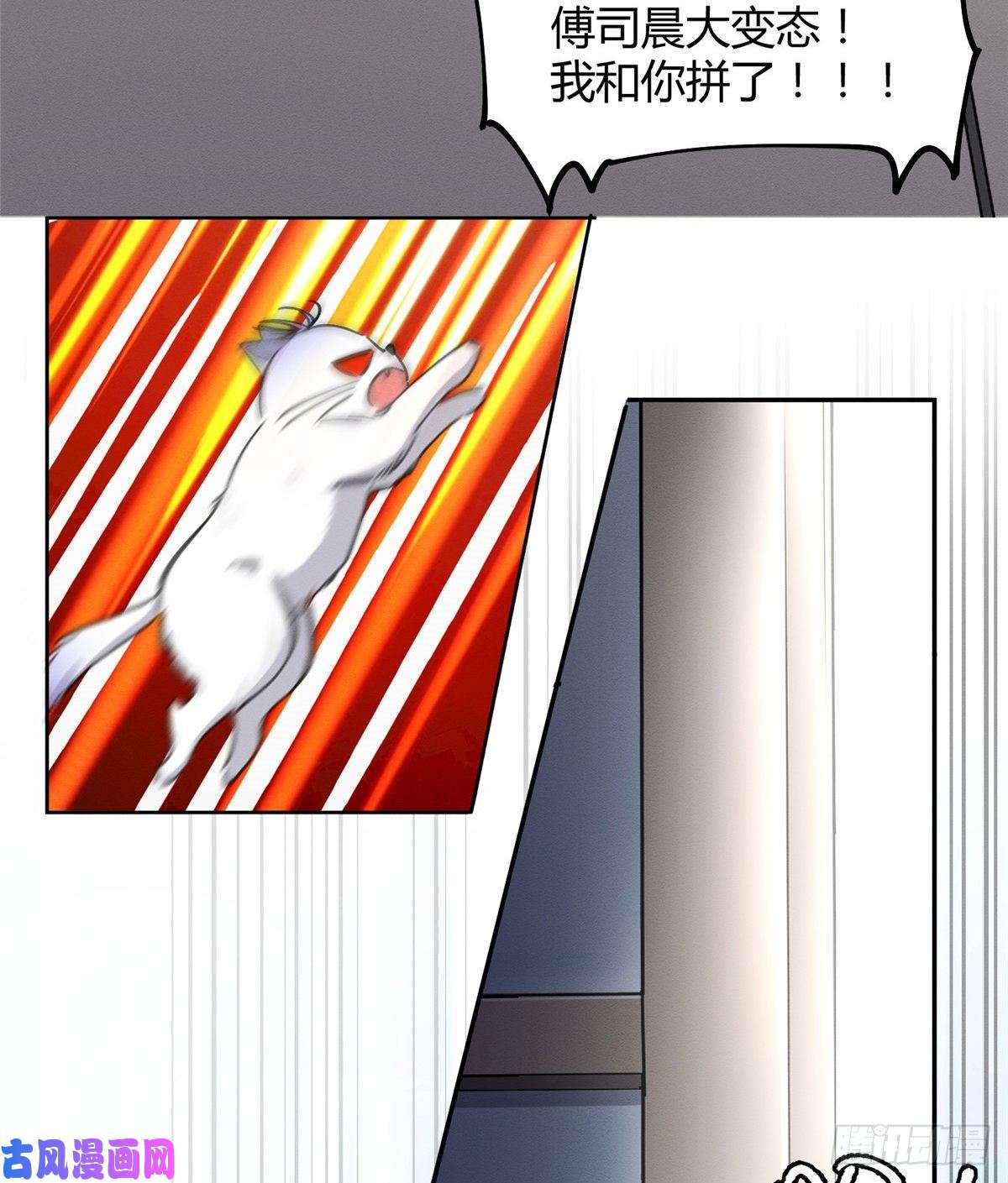 今天也要努力当只猫第12话 洗澡？！