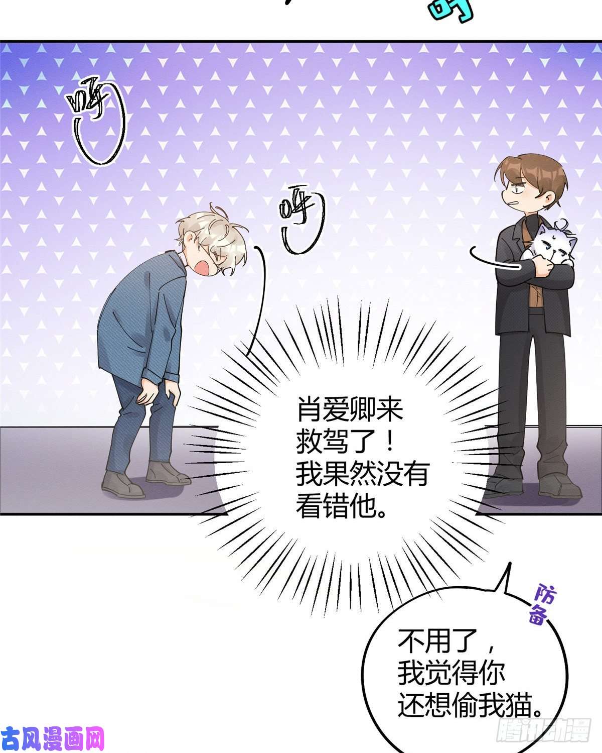 今天也要努力当只猫第12话 洗澡？！