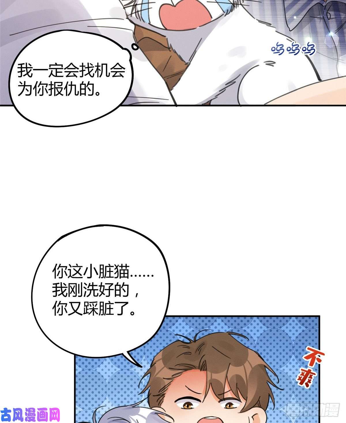 今天也要努力当只猫第12话 洗澡？！