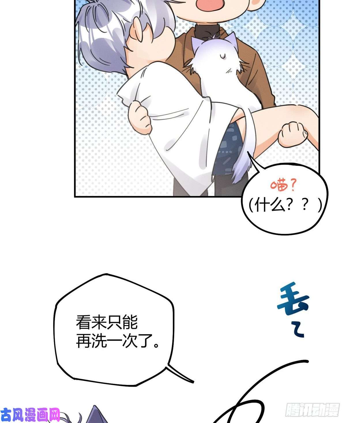 今天也要努力当只猫第12话 洗澡？！