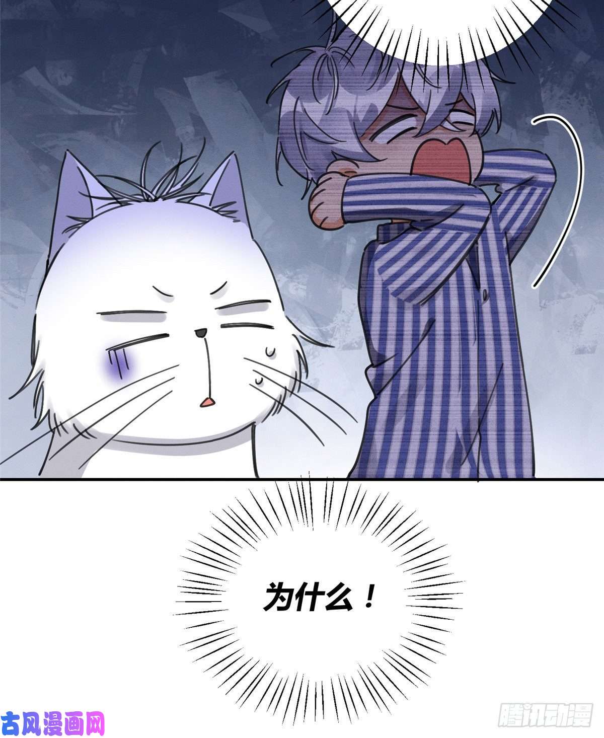 今天也要努力当只猫第12话 洗澡？！