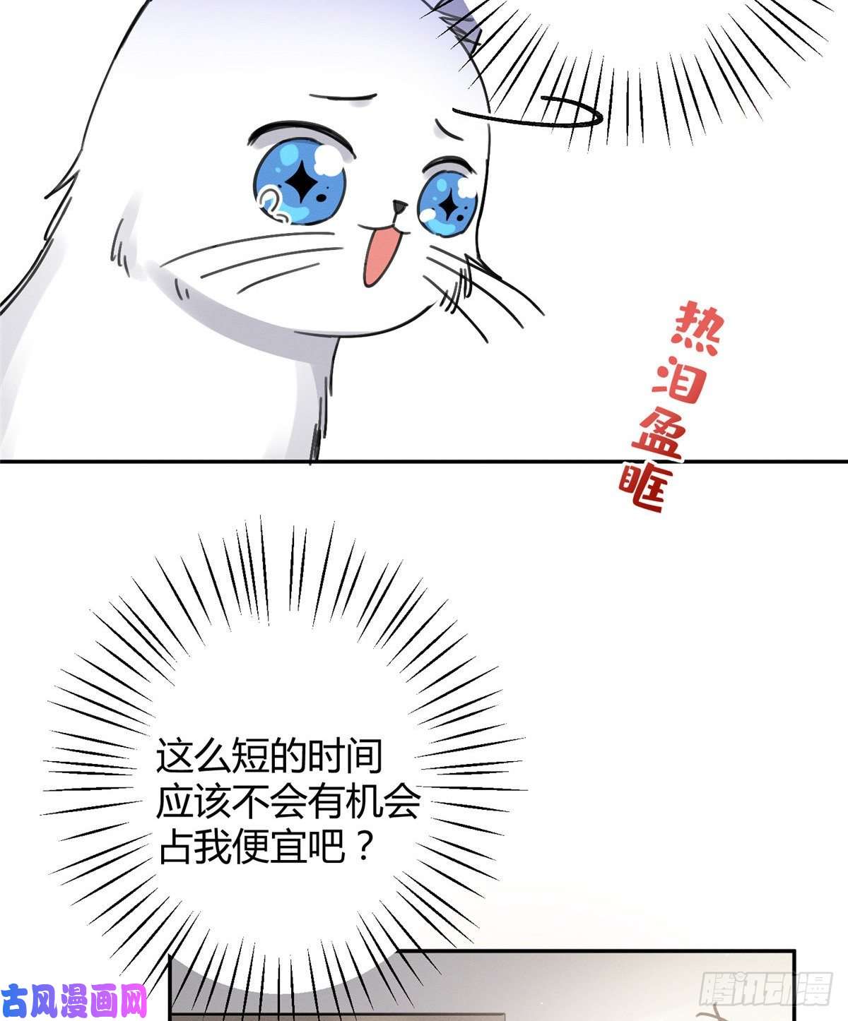 今天也要努力当只猫第12话 洗澡？！