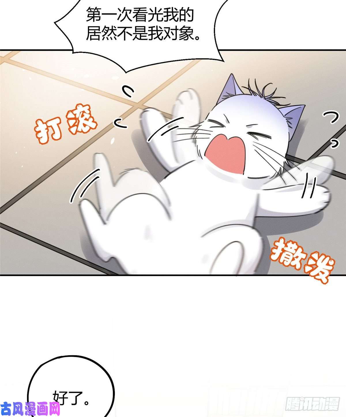 今天也要努力当只猫第12话 洗澡？！