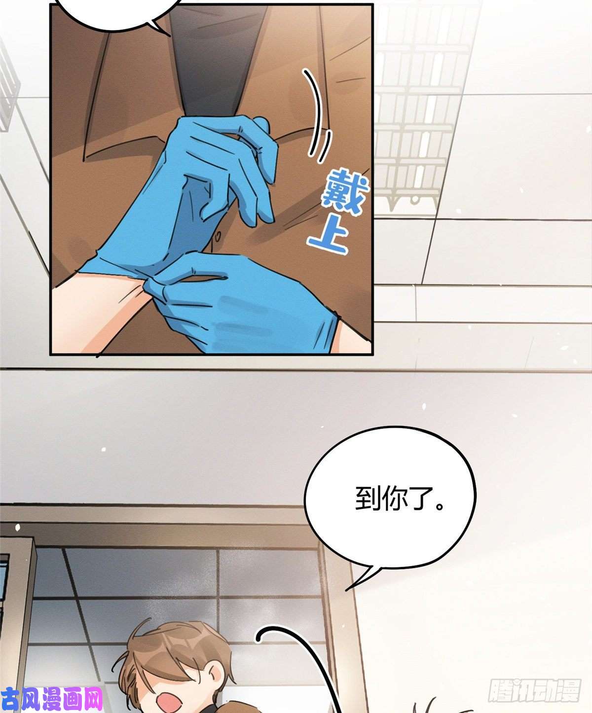 今天也要努力当只猫第12话 洗澡？！