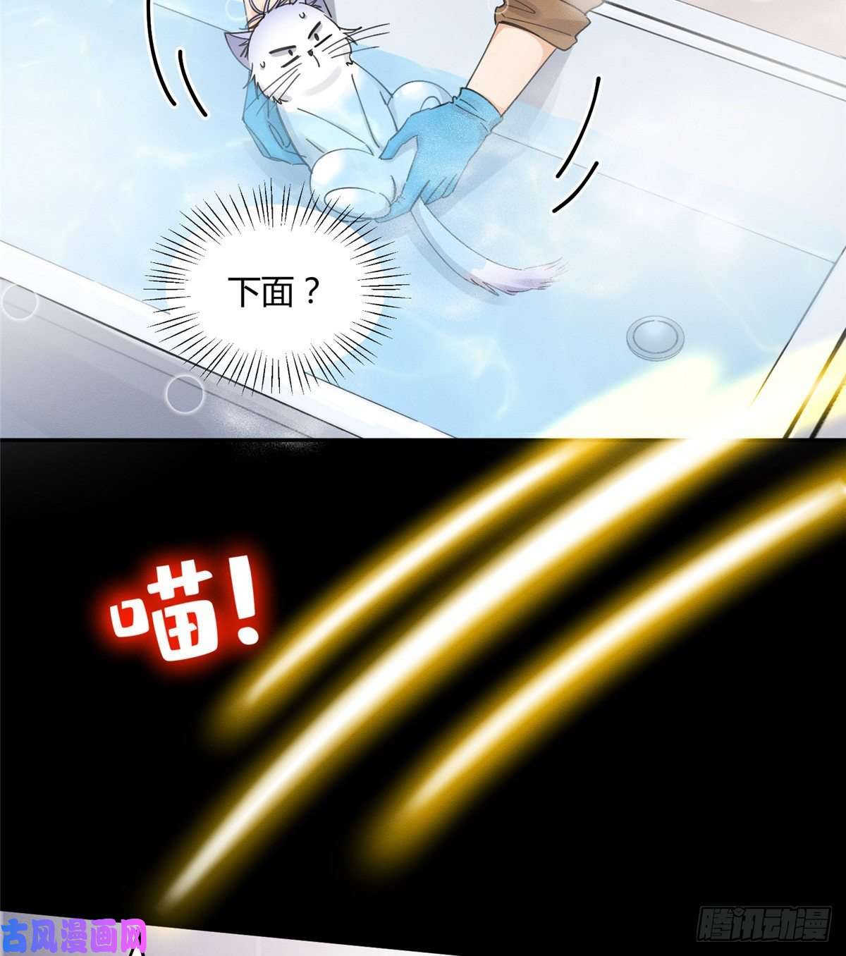 今天也要努力当只猫第12话 洗澡？！