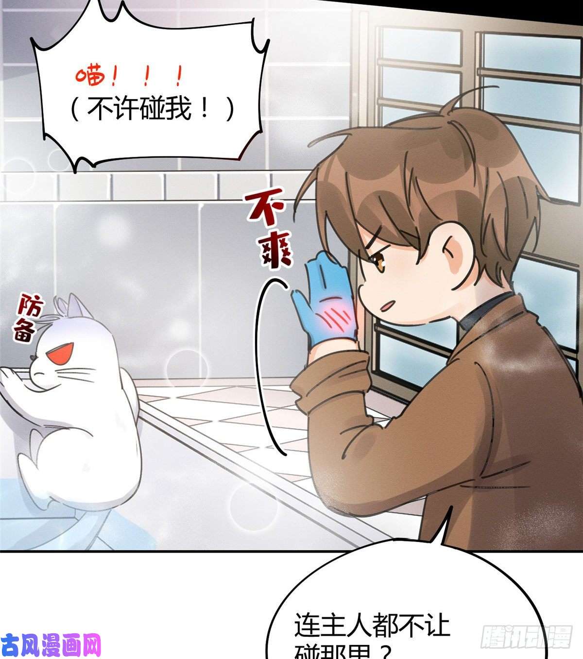 今天也要努力当只猫第12话 洗澡？！