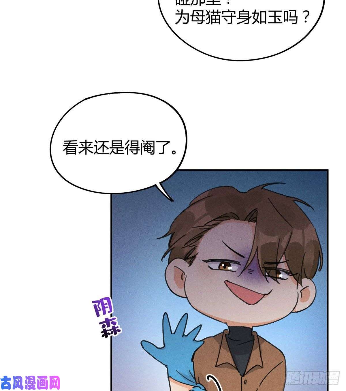 今天也要努力当只猫第12话 洗澡？！