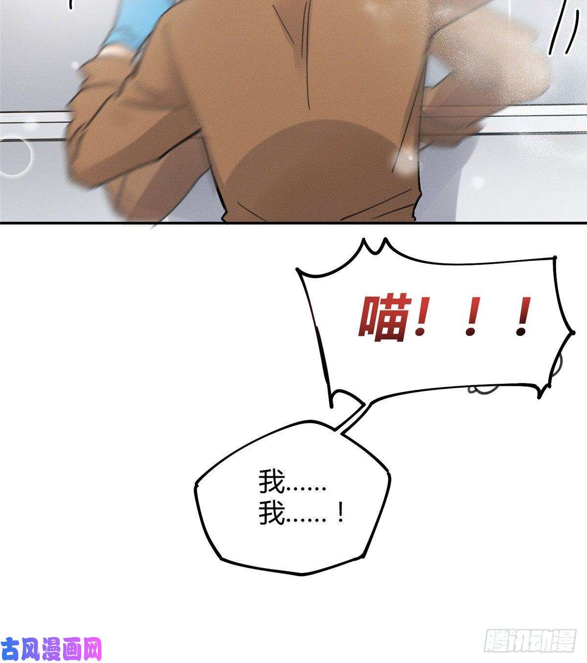 今天也要努力当只猫第12话 洗澡？！