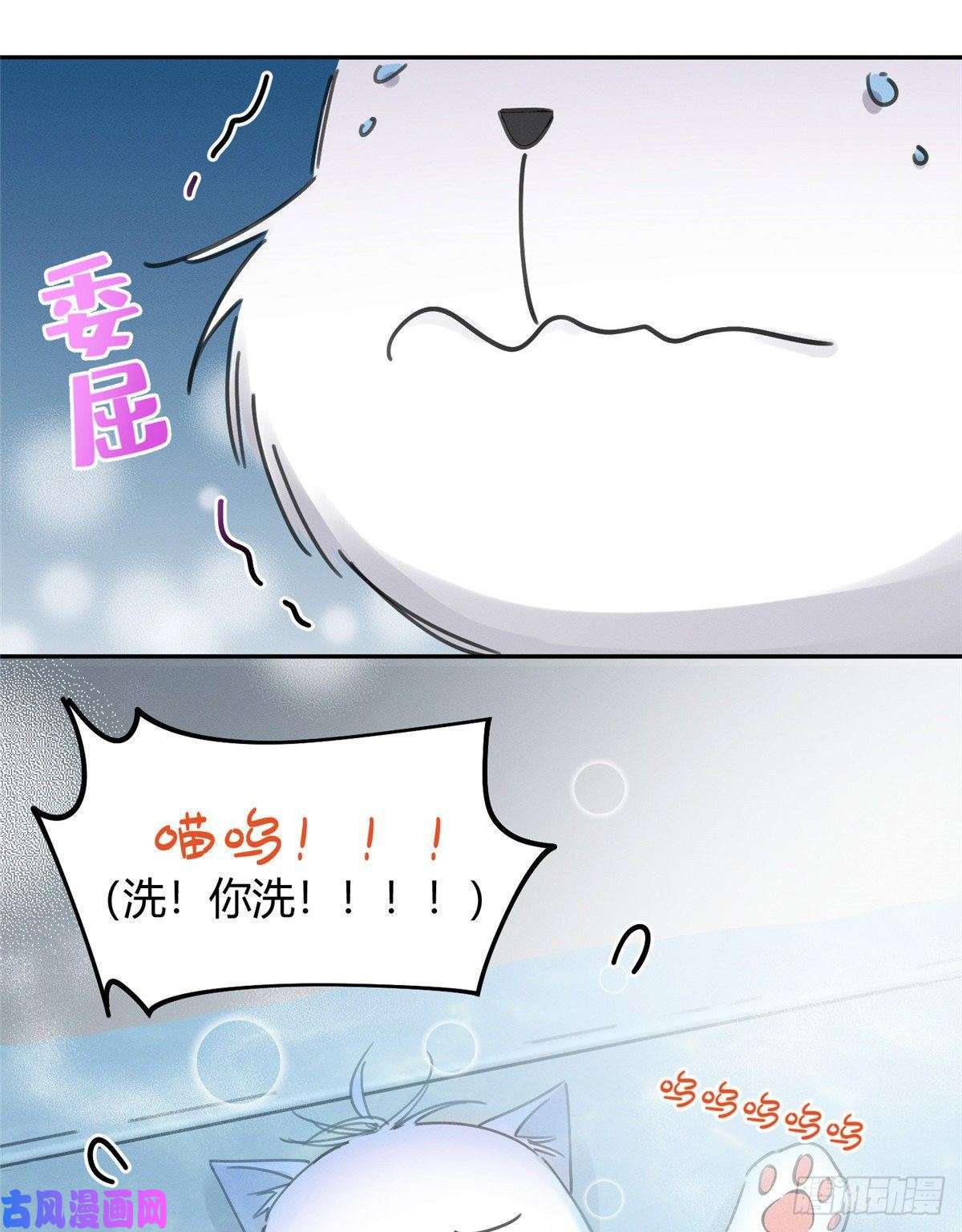 今天也要努力当只猫第12话 洗澡？！