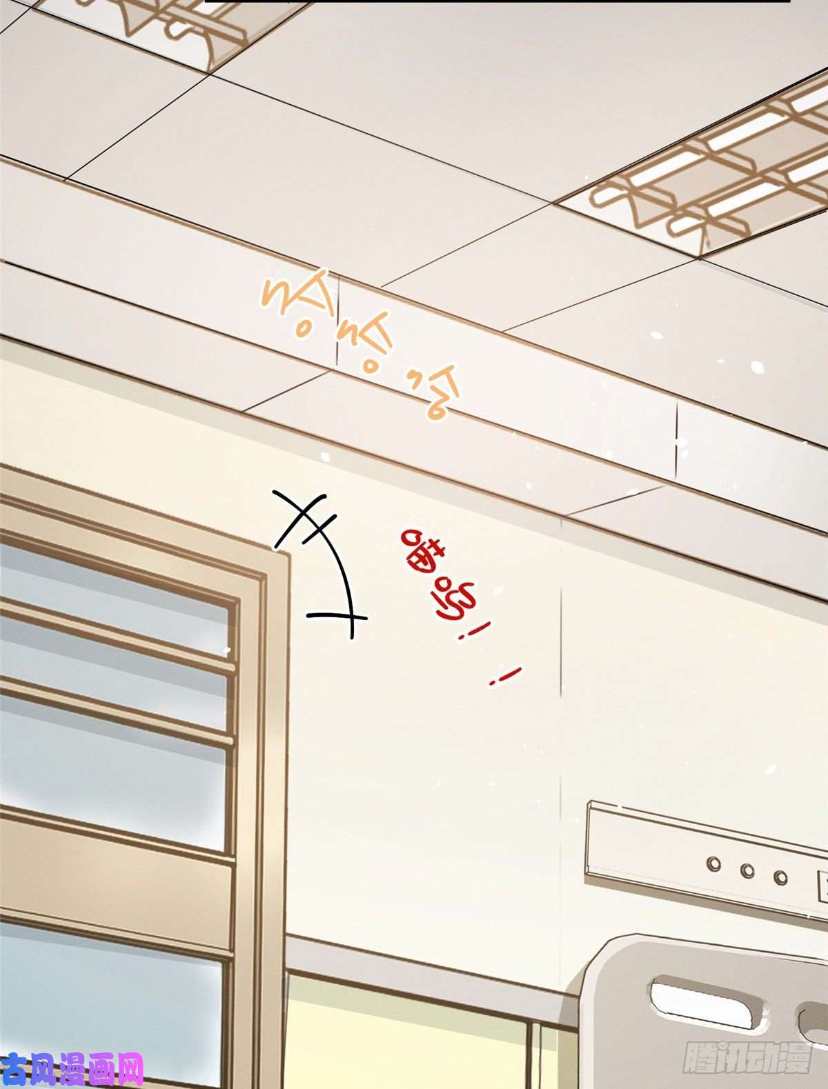 今天也要努力当只猫第12话 洗澡？！