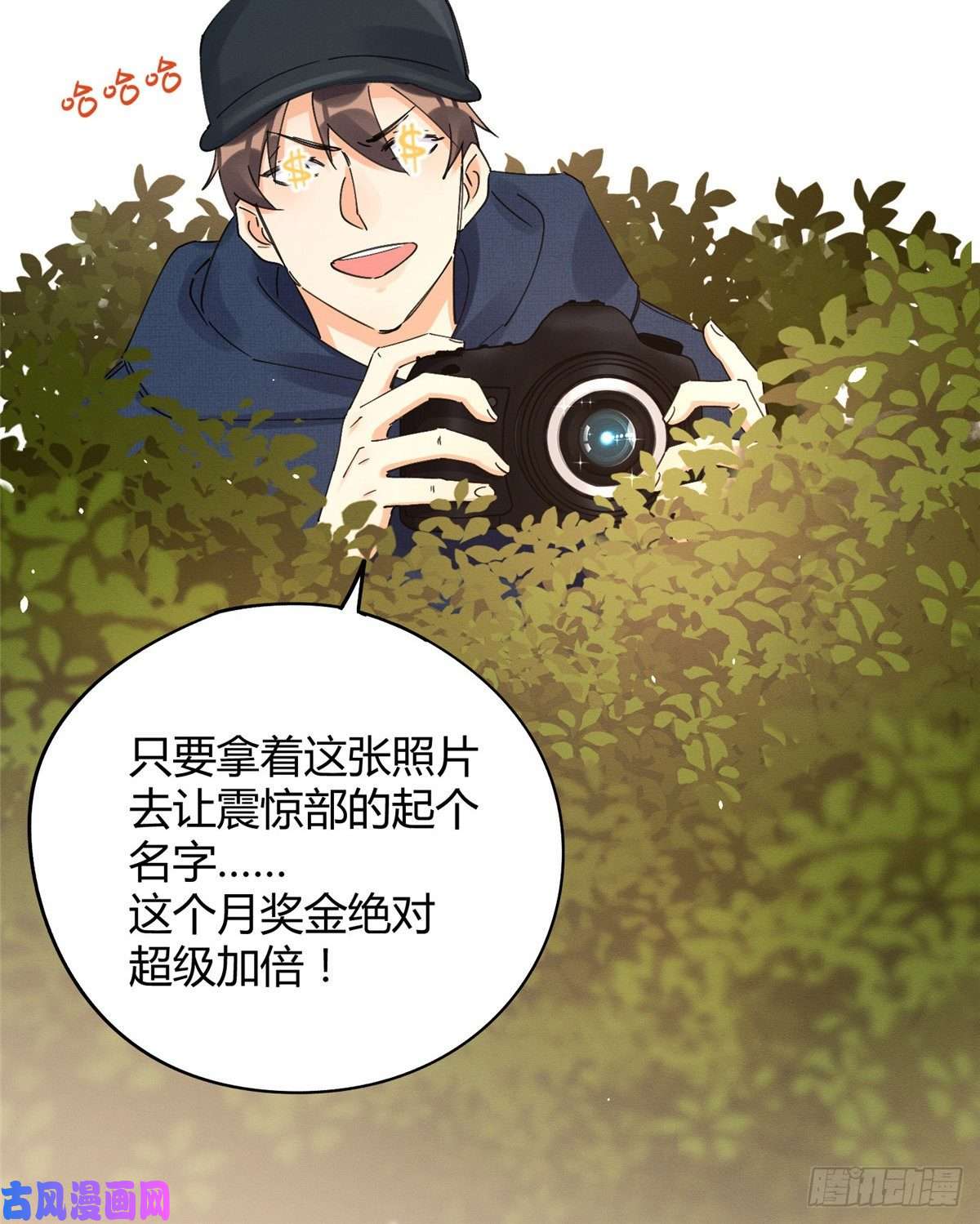 今天也要努力当只猫第12话 洗澡？！