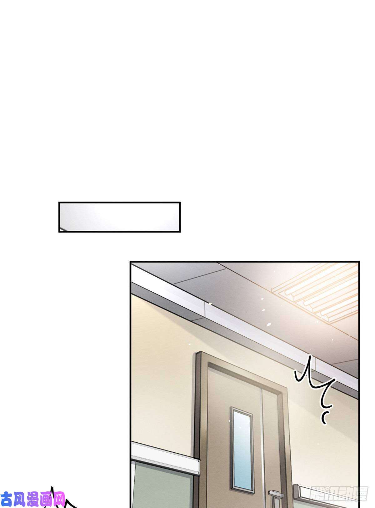 今天也要努力当只猫第12话 洗澡？！