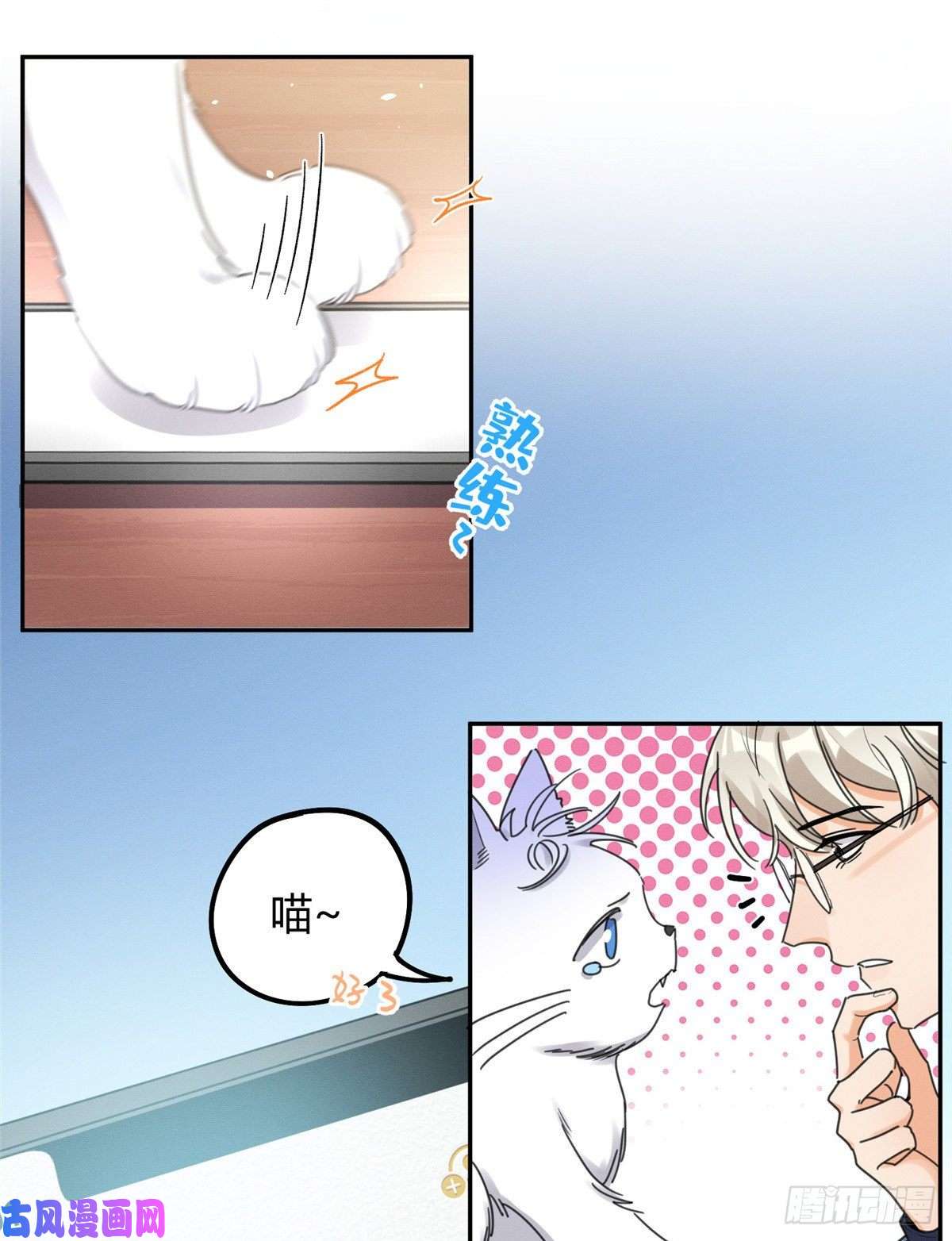 今天也要努力当只猫第13话 我的初吻TAT