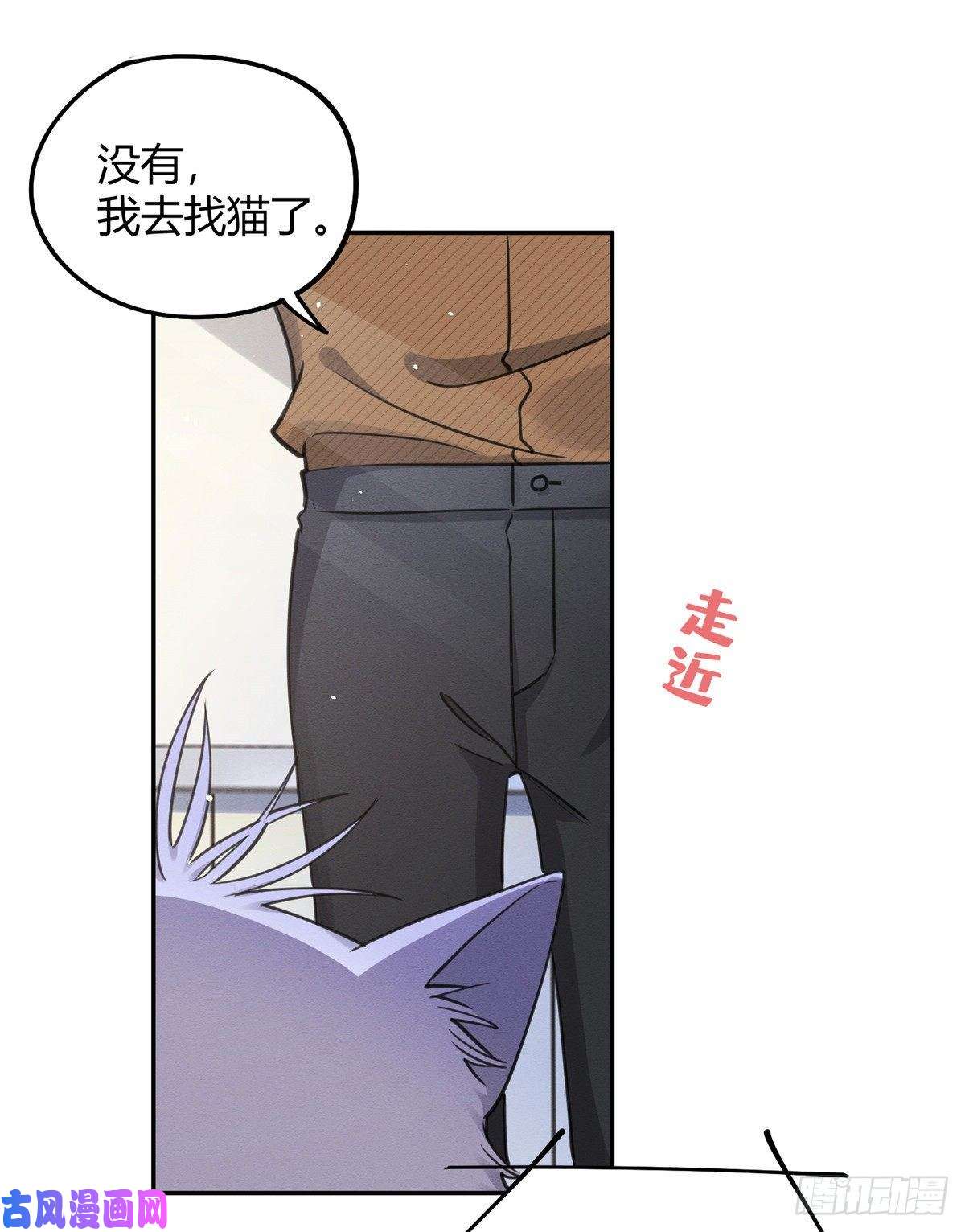 今天也要努力当只猫第13话 我的初吻TAT